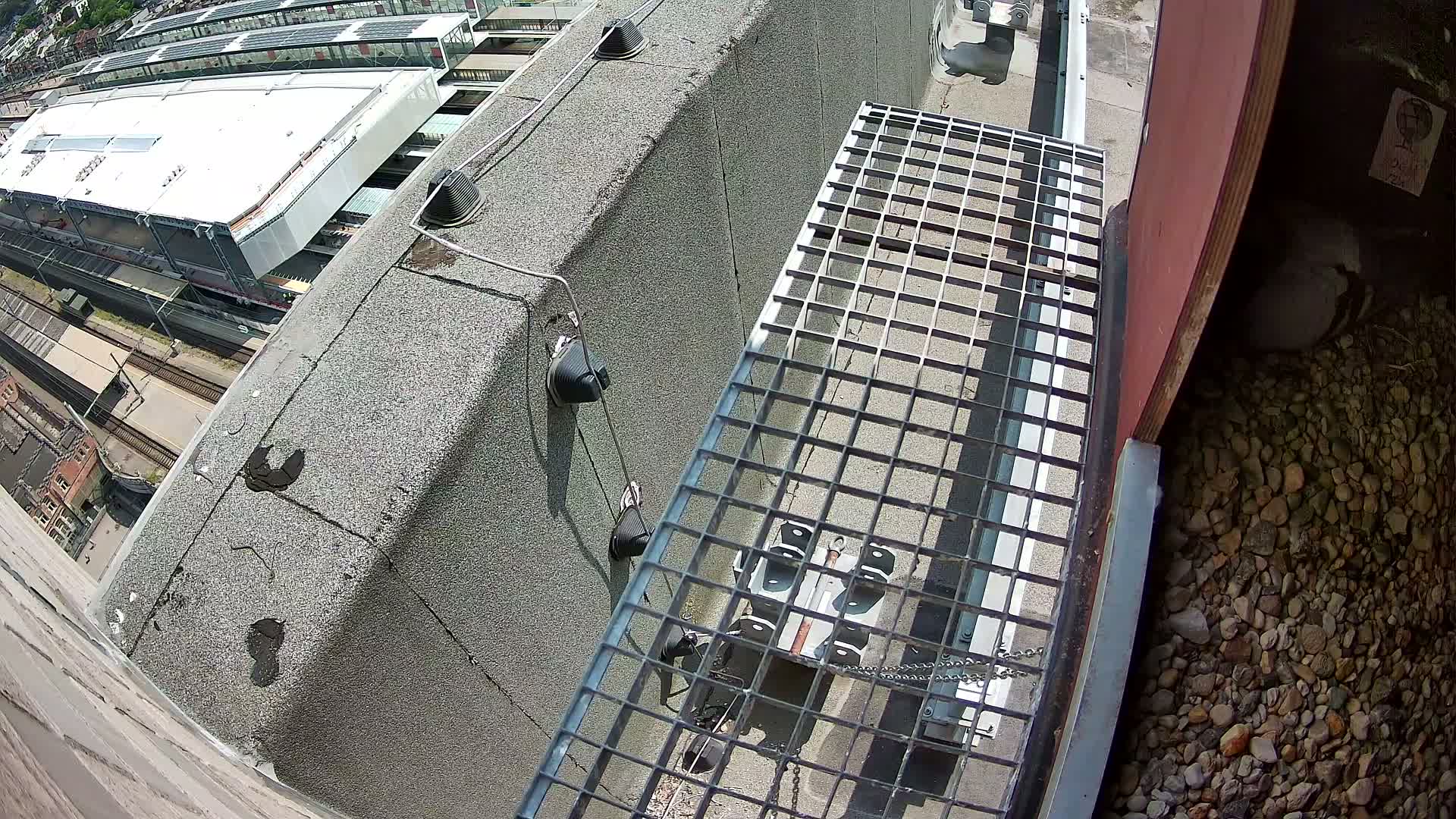 Gent, Sint Pieters Railway Station & Virginie Lovelingge bouw (Virginie Loveling building) Outside Bird Nest Live Cam - Gent (Ghend-Gand), East Flanders (Flandre-Orientale), Flemish (Flamande), Belgium