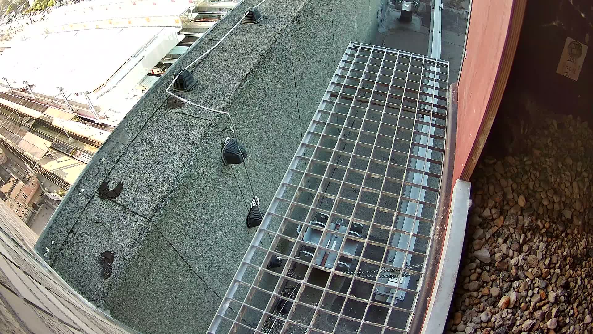 Gent, Sint Pieters Railway Station & Virginie Lovelingge bouw (Virginie Loveling building) Outside Bird Nest Live Cam - Gent (Ghend-Gand), East Flanders (Flandre-Orientale), Flemish (Flamande), Belgium