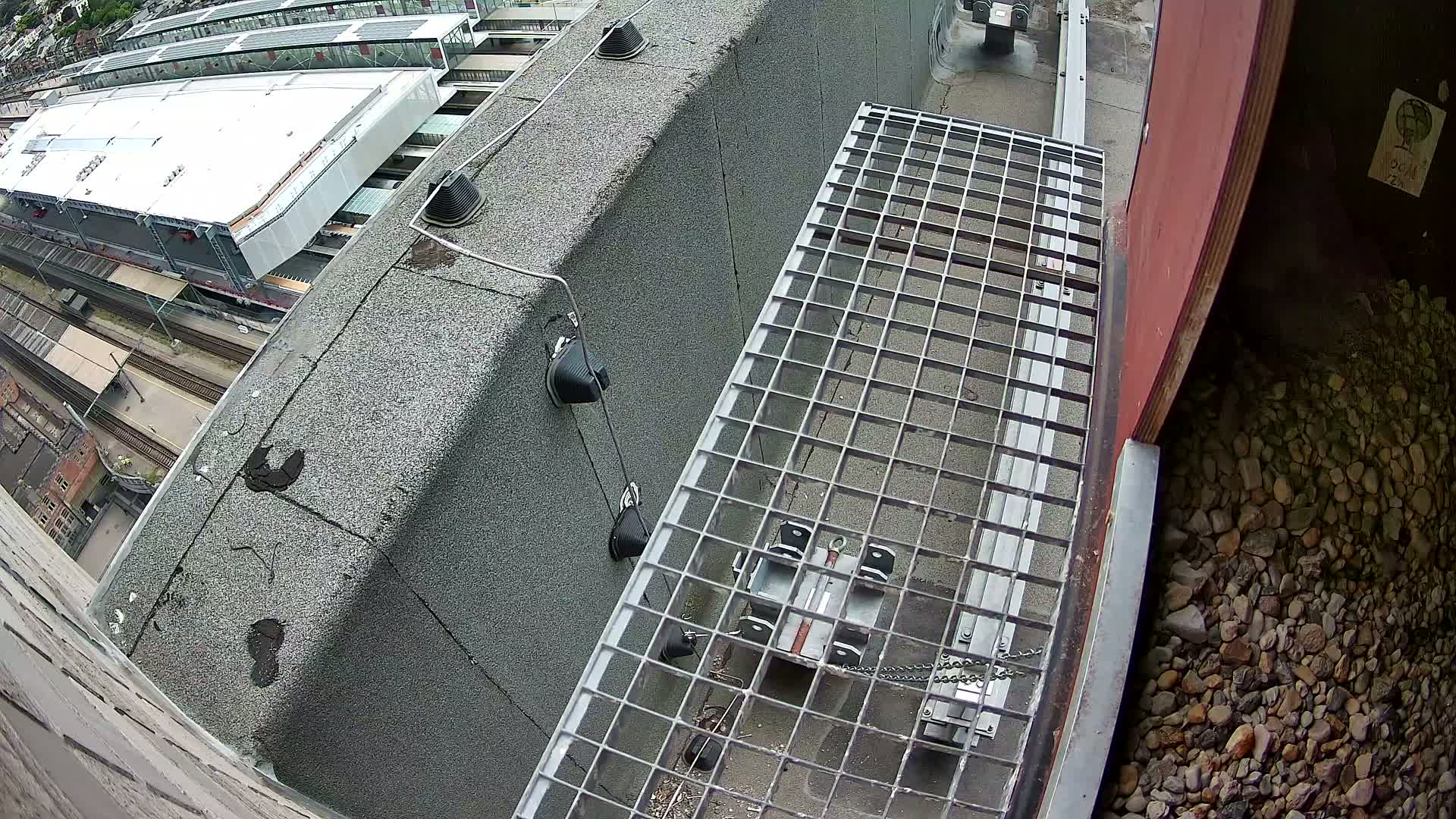 Gent, Sint Pieters Railway Station & Virginie Lovelingge bouw (Virginie Loveling building) Outside Bird Nest Live Cam - Gent (Ghend-Gand), East Flanders (Flandre-Orientale), Flemish (Flamande), Belgium