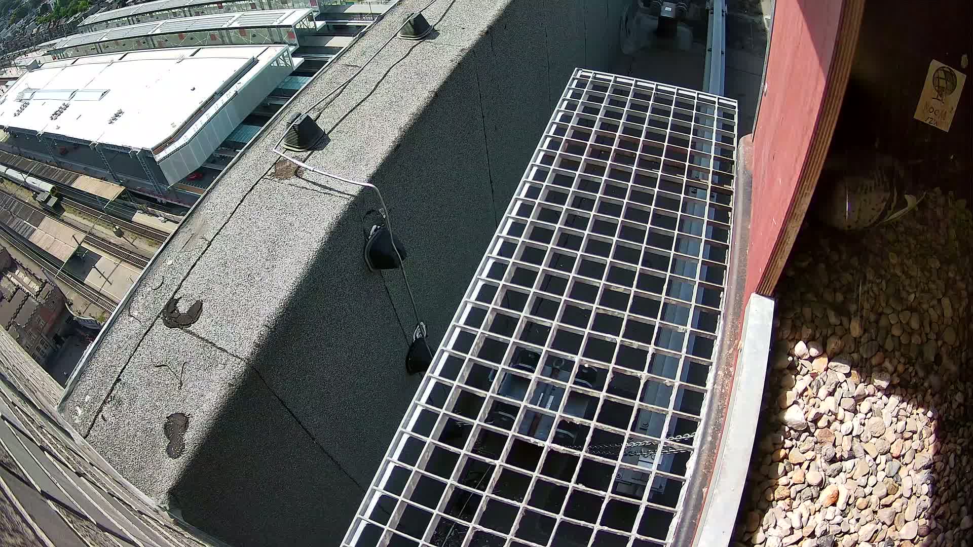 Gent, Sint Pieters Railway Station & Virginie Lovelingge bouw (Virginie Loveling building) Outside Bird Nest Live Cam - Gent (Ghend-Gand), East Flanders (Flandre-Orientale), Flemish (Flamande), Belgium