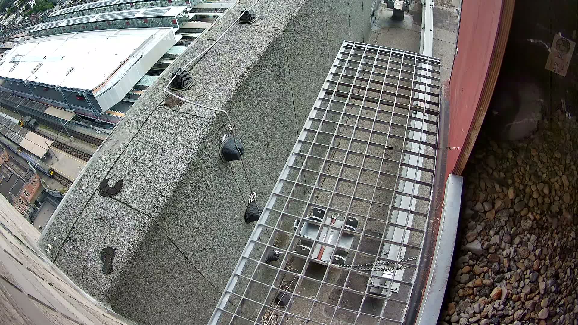 Gent, Sint Pieters Railway Station & Virginie Lovelingge bouw (Virginie Loveling building) Outside Bird Nest Live Cam - Gent (Ghend-Gand), East Flanders (Flandre-Orientale), Flemish (Flamande), Belgium