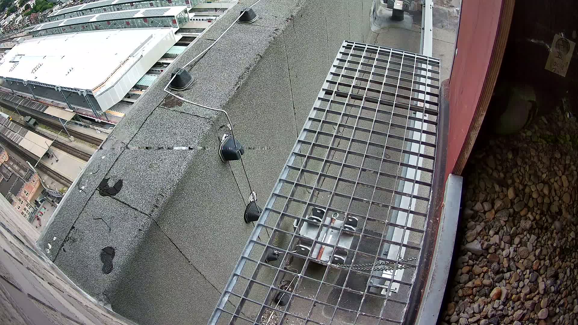 Gent, Sint Pieters Railway Station & Virginie Lovelingge bouw (Virginie Loveling building) Outside Bird Nest Live Cam - Gent (Ghend-Gand), East Flanders (Flandre-Orientale), Flemish (Flamande), Belgium