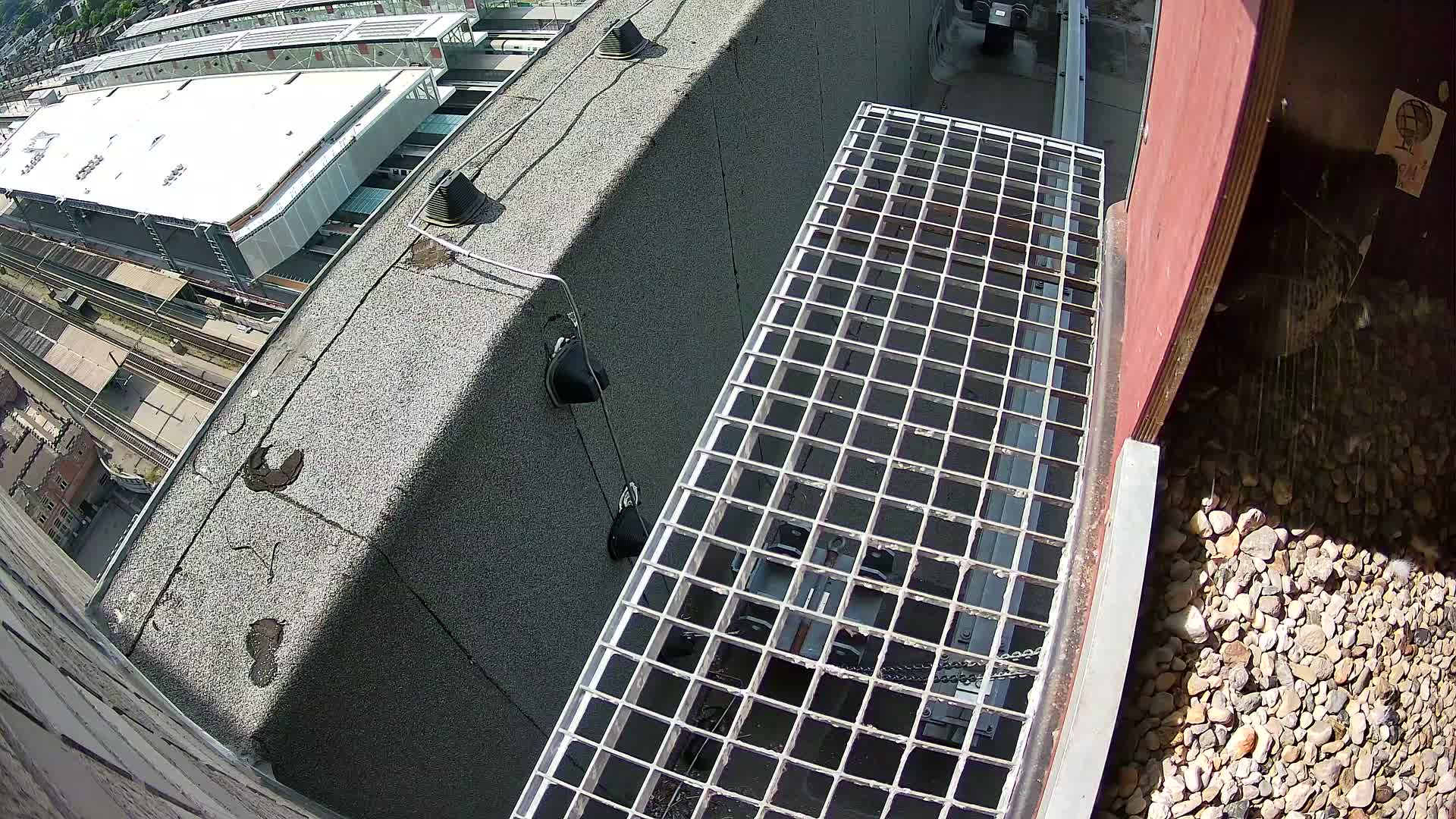 Gent, Sint Pieters Railway Station & Virginie Lovelingge bouw (Virginie Loveling building) Outside Bird Nest Live Cam - Gent (Ghend-Gand), East Flanders (Flandre-Orientale), Flemish (Flamande), Belgium