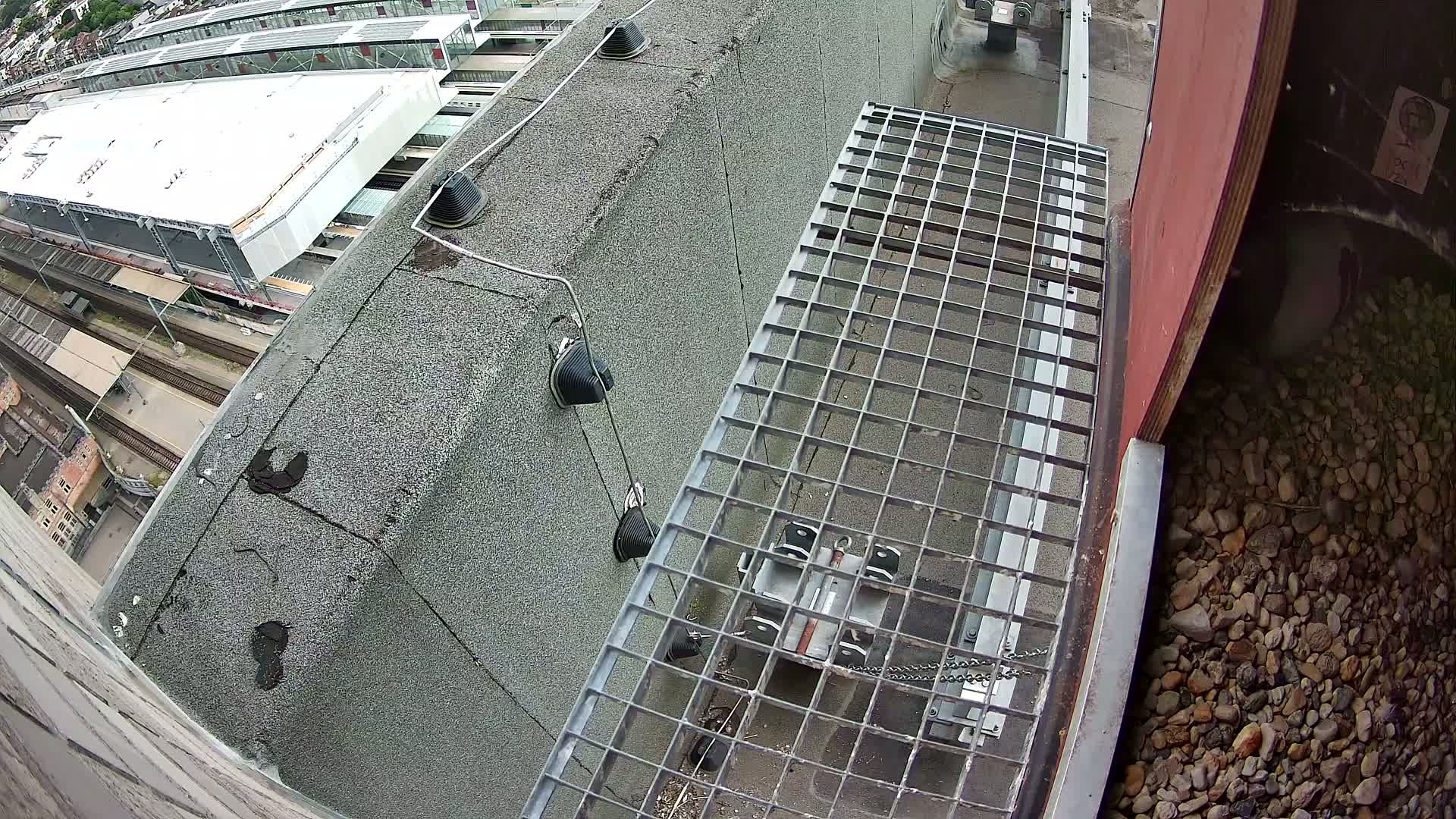 Gent, Sint Pieters Railway Station & Virginie Lovelingge bouw (Virginie Loveling building) Outside Bird Nest Live Cam - Gent (Ghend-Gand), East Flanders (Flandre-Orientale), Flemish (Flamande), Belgium