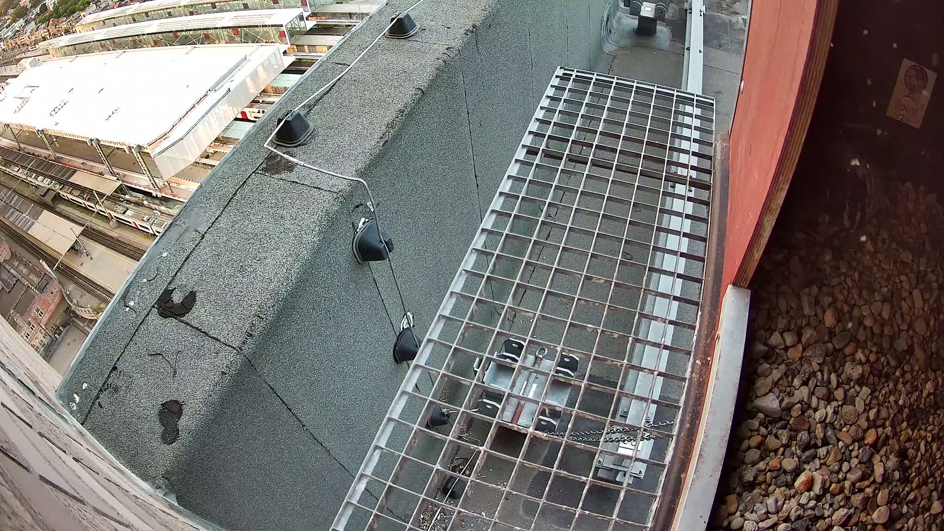 Gent, Sint Pieters Railway Station & Virginie Lovelingge bouw (Virginie Loveling building) Outside Bird Nest Live Cam - Gent (Ghend-Gand), East Flanders (Flandre-Orientale), Flemish (Flamande), Belgium