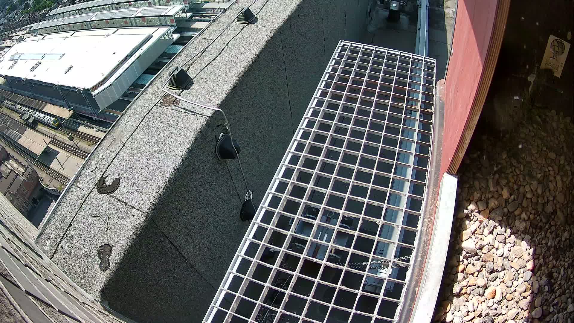 Gent, Sint Pieters Railway Station & Virginie Lovelingge bouw (Virginie Loveling building) Outside Bird Nest Live Cam - Gent (Ghend-Gand), East Flanders (Flandre-Orientale), Flemish (Flamande), Belgium
