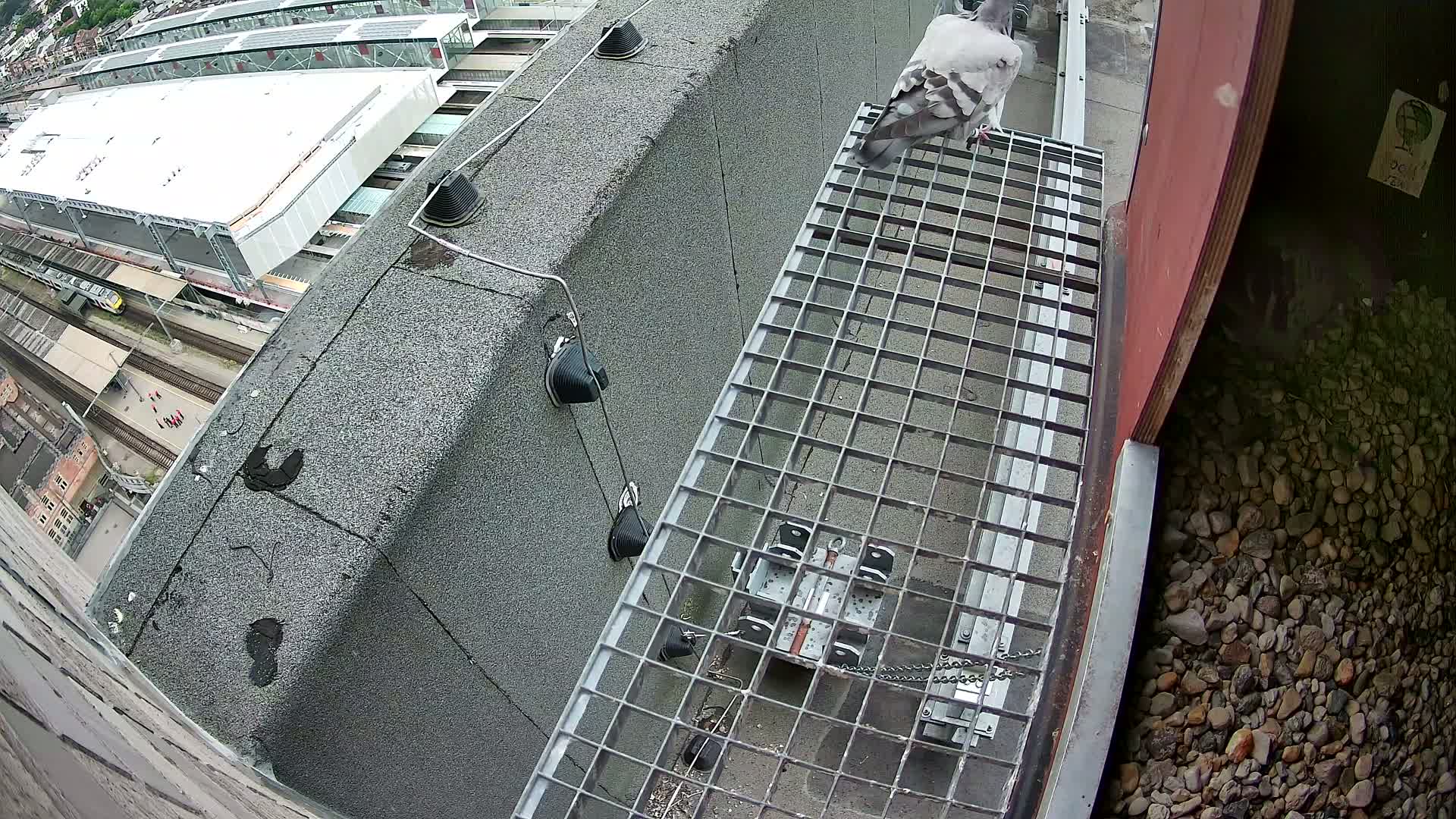 Gent, Sint Pieters Railway Station & Virginie Lovelingge bouw (Virginie Loveling building) Outside Bird Nest Live Cam - Gent (Ghend-Gand), East Flanders (Flandre-Orientale), Flemish (Flamande), Belgium