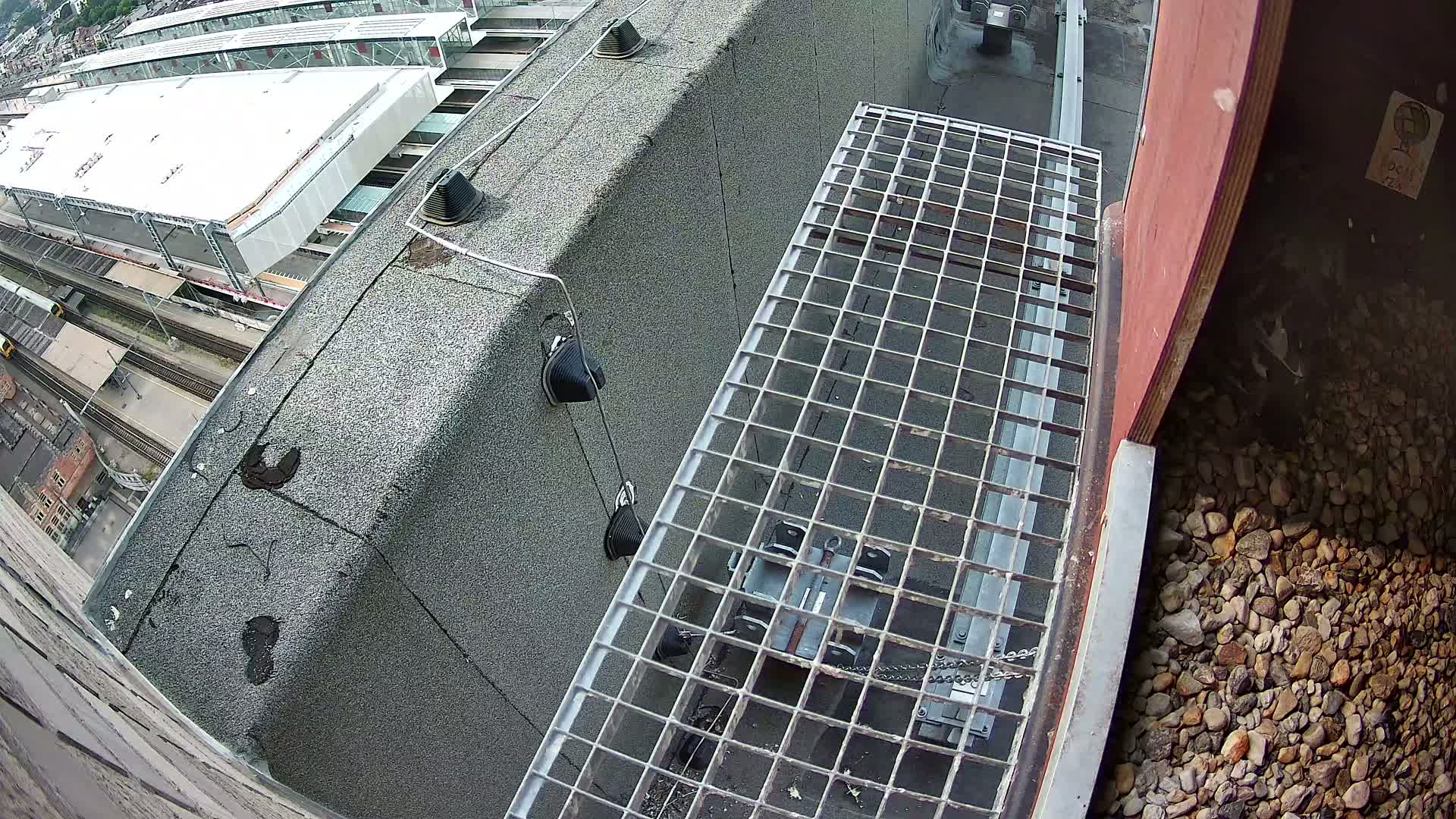Gent, Sint Pieters Railway Station & Virginie Lovelingge bouw (Virginie Loveling building) Outside Bird Nest Live Cam - Gent (Ghend-Gand), East Flanders (Flandre-Orientale), Flemish (Flamande), Belgium
