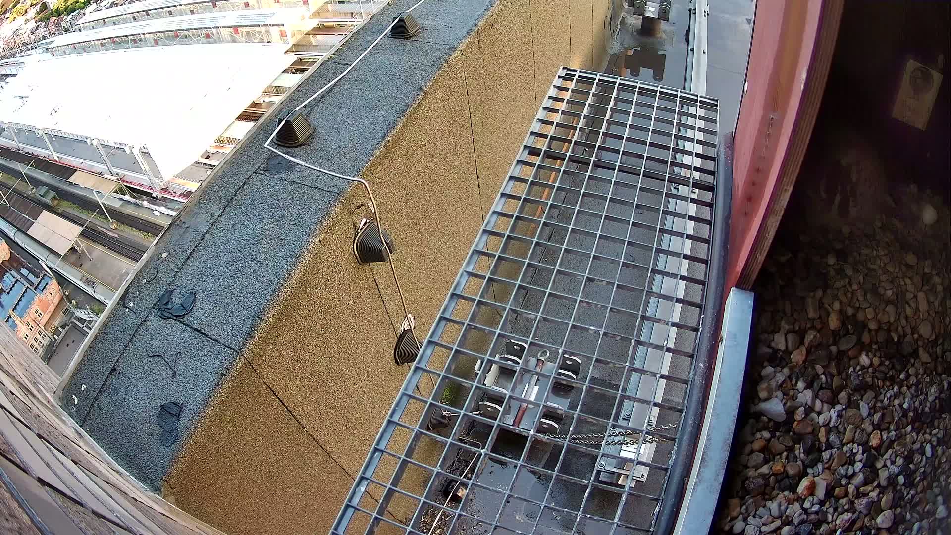 Gent, Sint Pieters Railway Station & Virginie Lovelingge bouw (Virginie Loveling building) Outside Bird Nest Live Cam - Gent (Ghend-Gand), East Flanders (Flandre-Orientale), Flemish (Flamande), Belgium