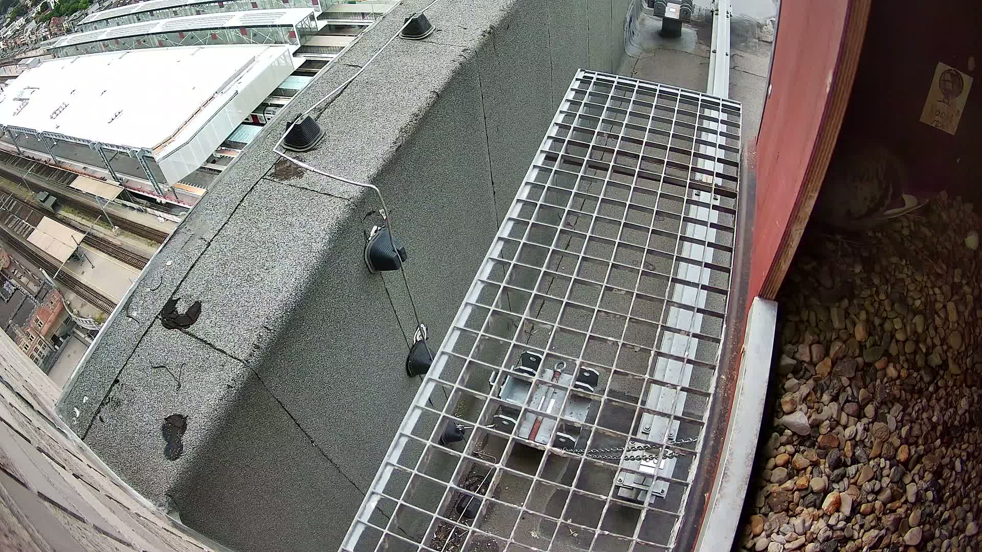 Gent, Sint Pieters Railway Station & Virginie Lovelingge bouw (Virginie Loveling building) Outside Bird Nest Live Cam - Gent (Ghend-Gand), East Flanders (Flandre-Orientale), Flemish (Flamande), Belgium