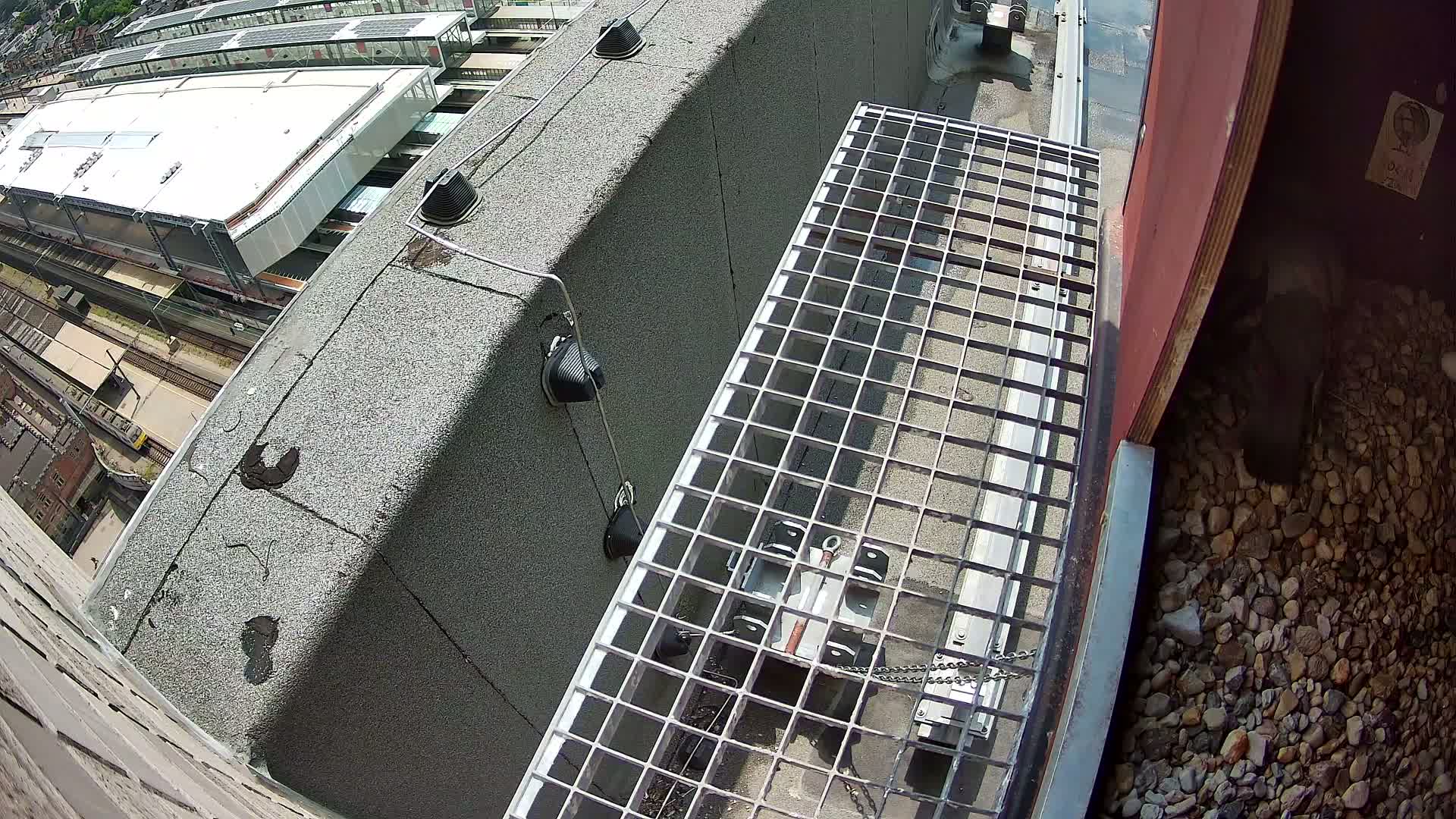 Gent, Sint Pieters Railway Station & Virginie Lovelingge bouw (Virginie Loveling building) Outside Bird Nest Live Cam - Gent (Ghend-Gand), East Flanders (Flandre-Orientale), Flemish (Flamande), Belgium