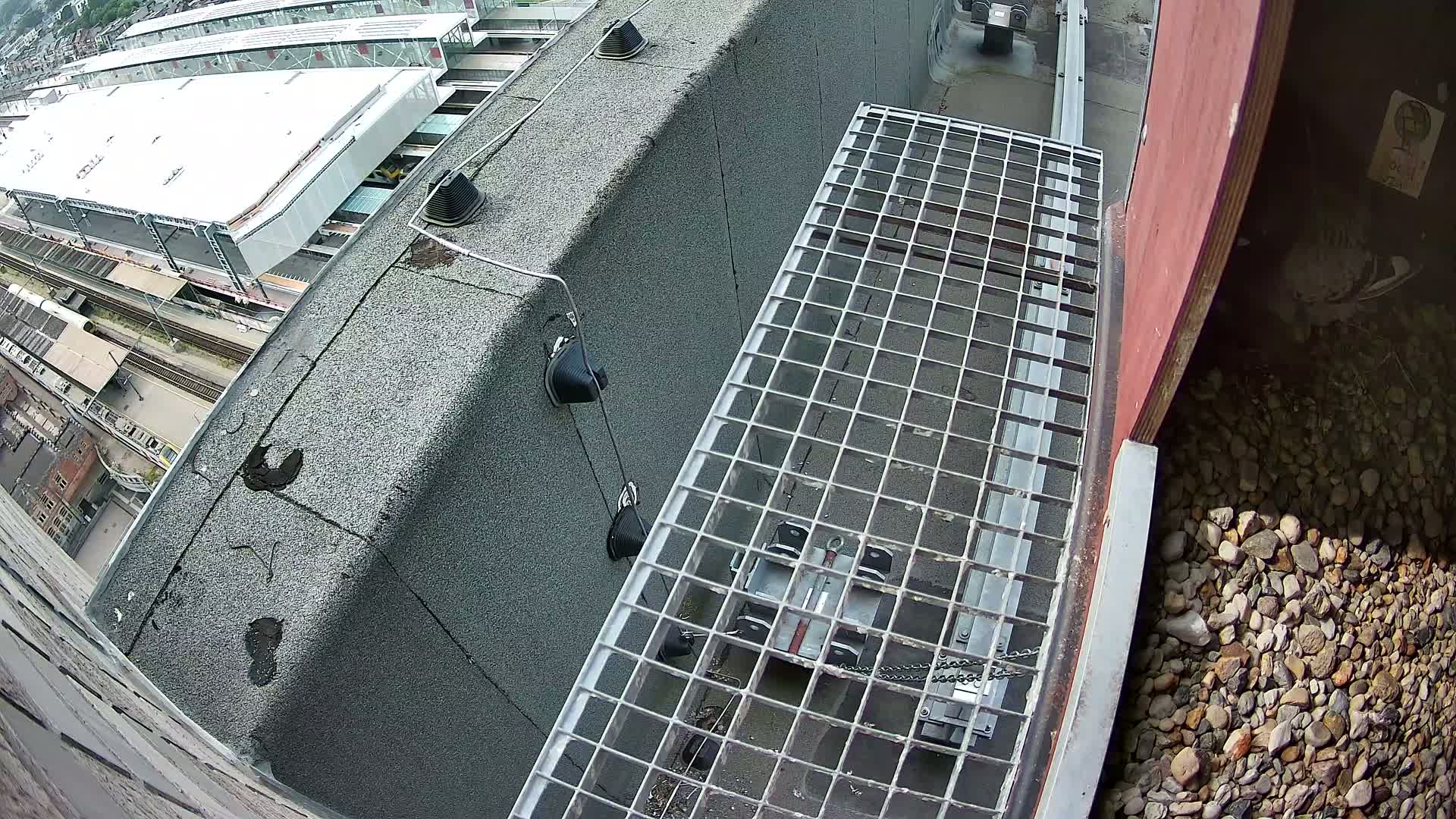 Gent, Sint Pieters Railway Station & Virginie Lovelingge bouw (Virginie Loveling building) Outside Bird Nest Live Cam - Gent (Ghend-Gand), East Flanders (Flandre-Orientale), Flemish (Flamande), Belgium