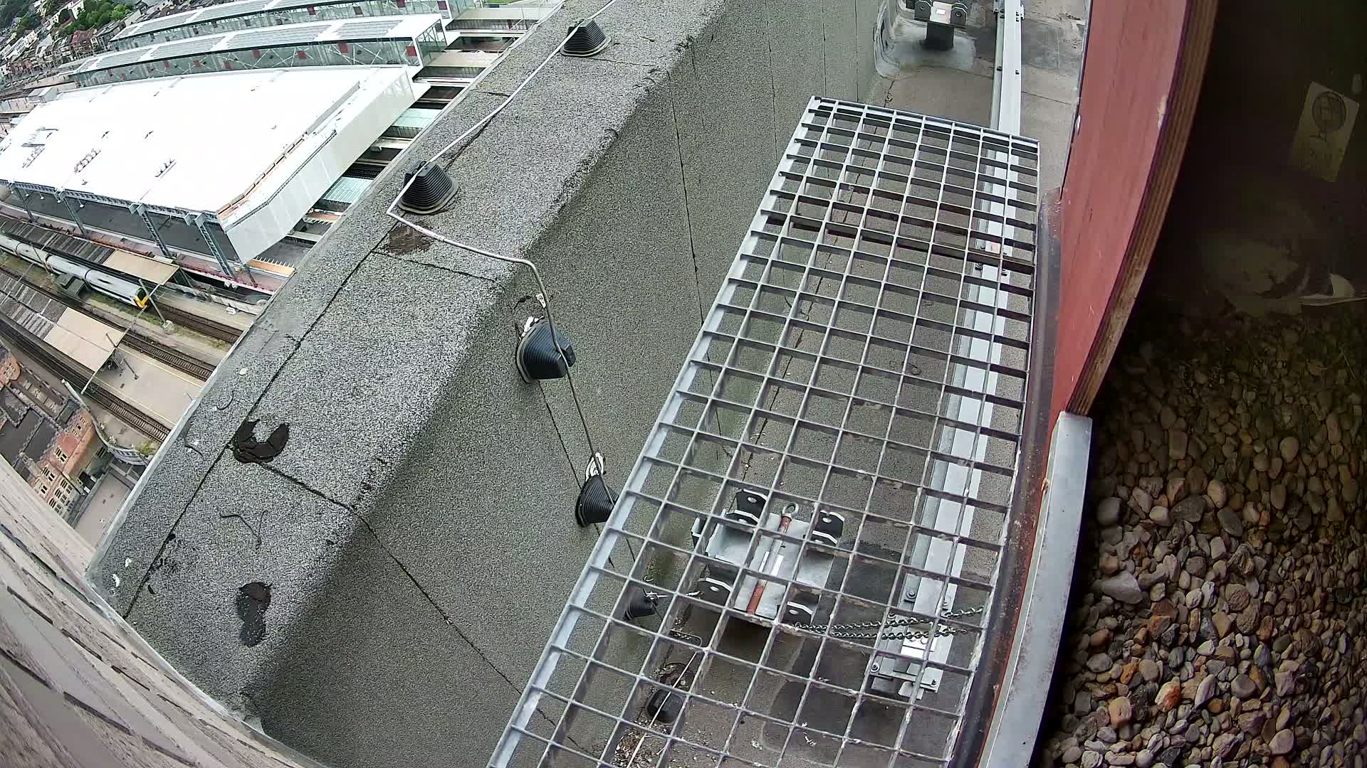 Gent, Sint Pieters Railway Station & Virginie Lovelingge bouw (Virginie Loveling building) Outside Bird Nest Live Cam - Gent (Ghend-Gand), East Flanders (Flandre-Orientale), Flemish (Flamande), Belgium