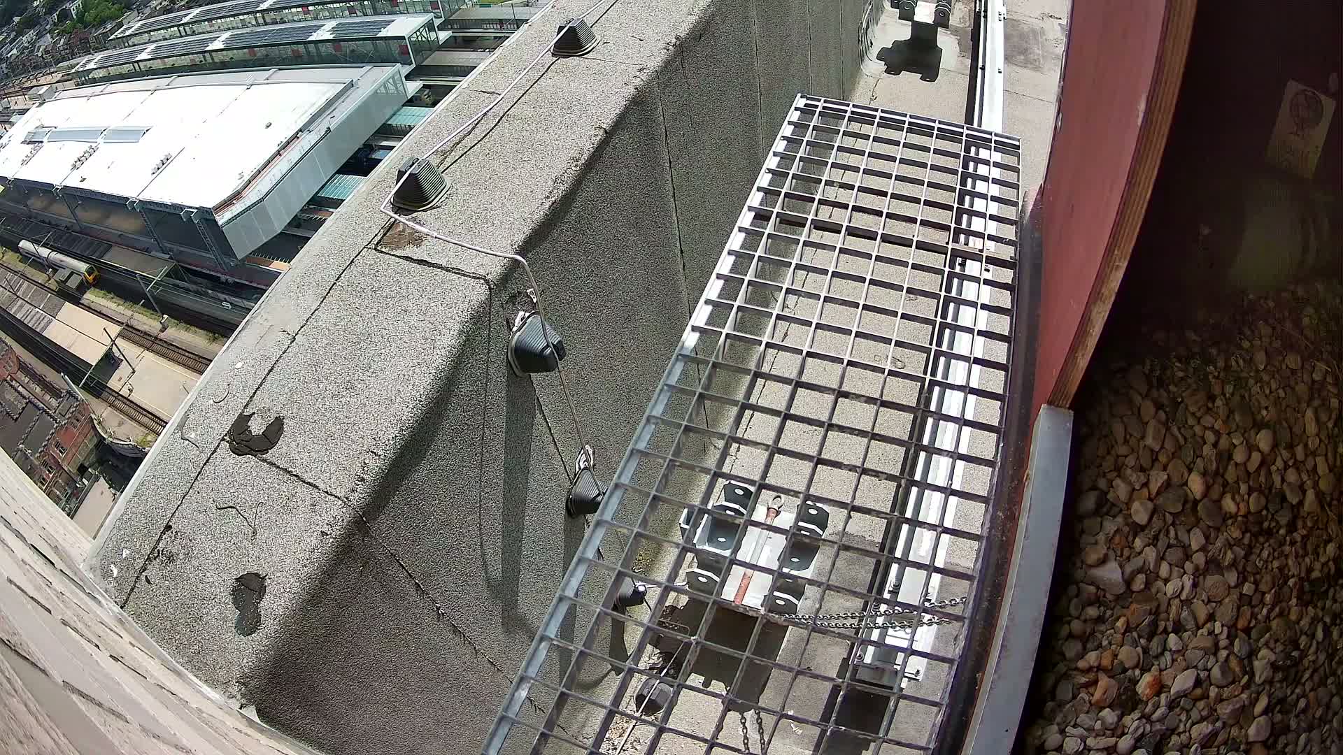 A pigeon rests on a bed of gravel next to a metal grate overlooking a dark, nighttime cityscape.