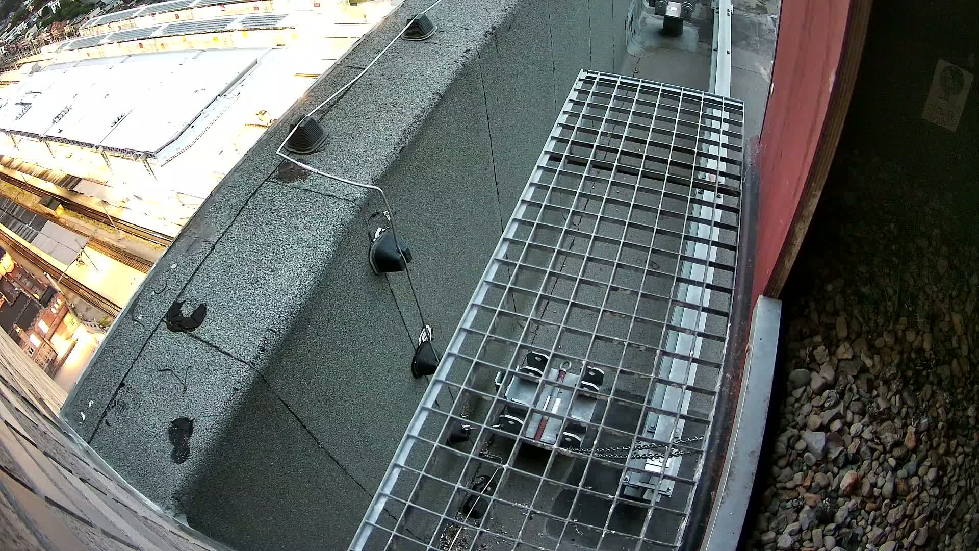 Gent, Sint Pieters Railway Station & Virginie Lovelingge bouw (Virginie Loveling building) Outside Bird Nest Live Cam - Gent (Ghend-Gand), East Flanders (Flandre-Orientale), Flemish (Flamande), Belgium