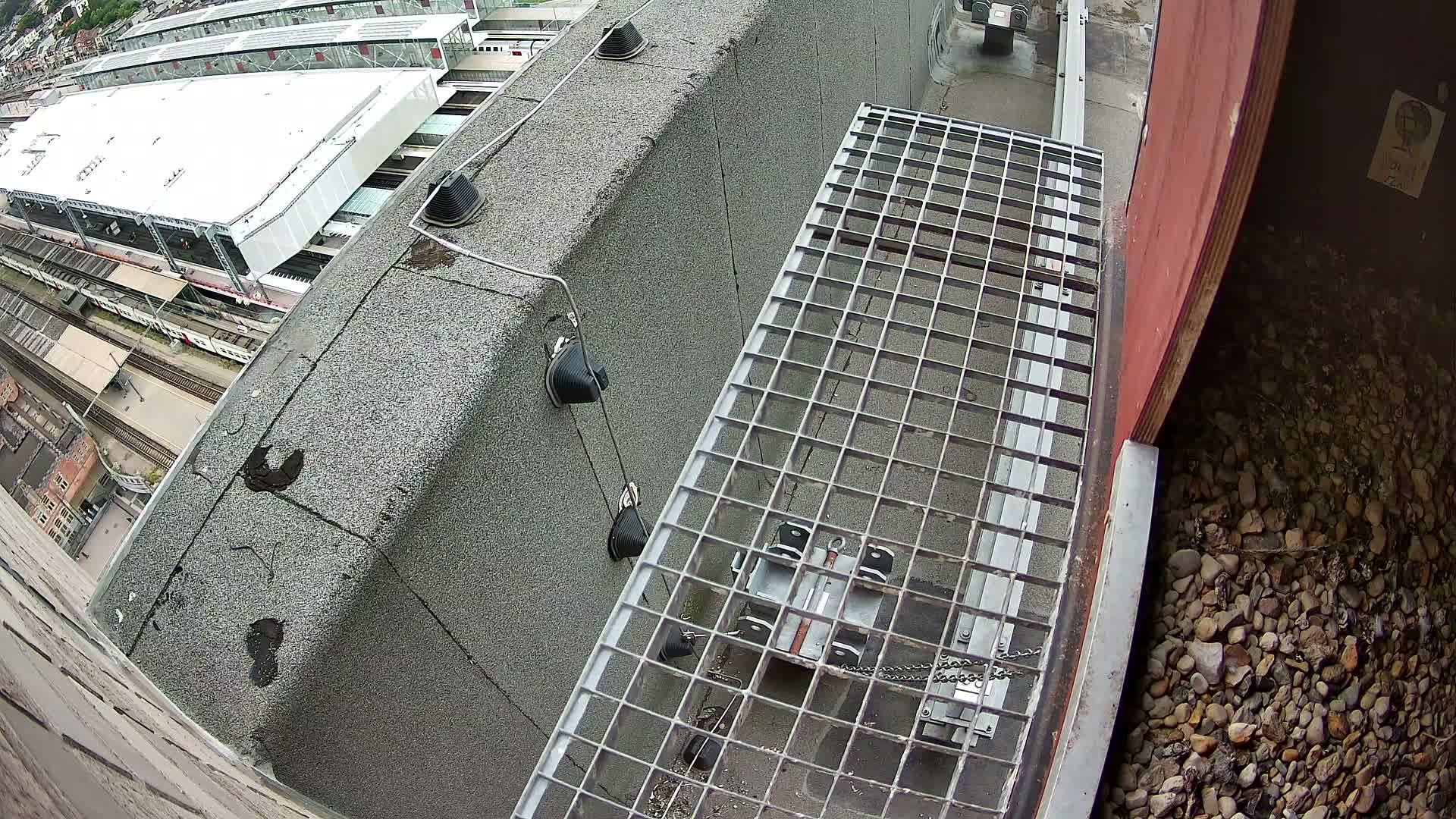 Gent, Sint Pieters Railway Station & Virginie Lovelingge bouw (Virginie Loveling building) Outside Bird Nest Live Cam - Gent (Ghend-Gand), East Flanders (Flandre-Orientale), Flemish (Flamande), Belgium
