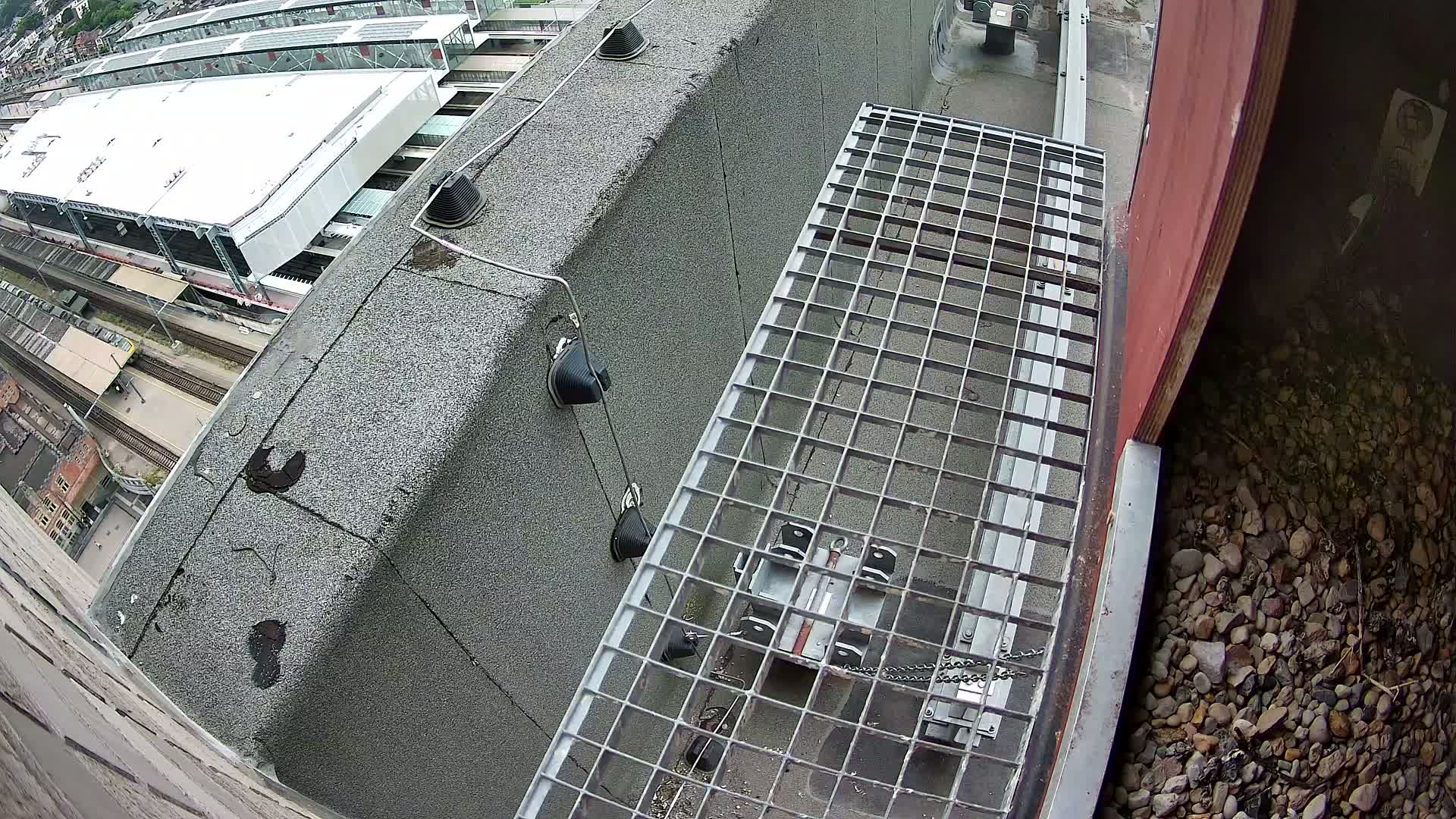 Gent, Sint Pieters Railway Station & Virginie Lovelingge bouw (Virginie Loveling building) Outside Bird Nest Live Cam - Gent (Ghend-Gand), East Flanders (Flandre-Orientale), Flemish (Flamande), Belgium