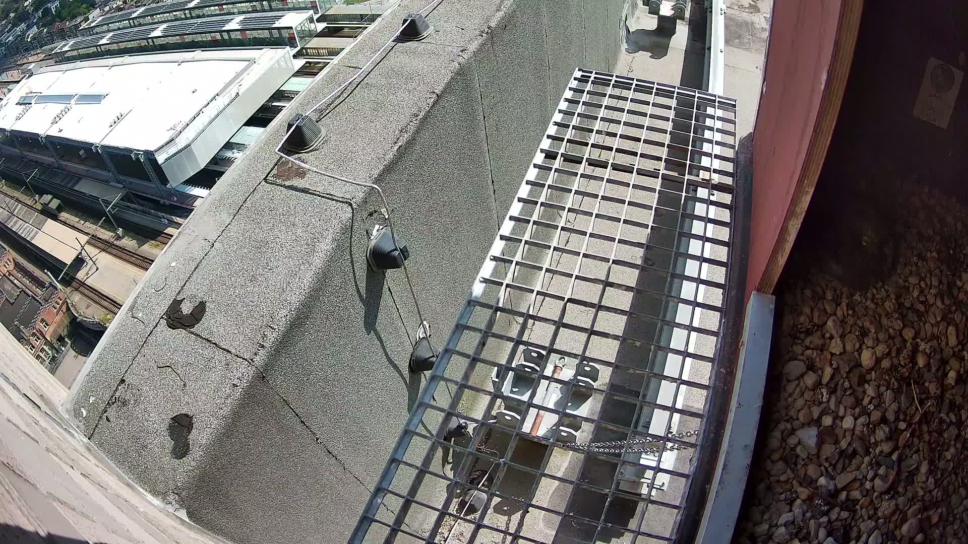 Gent, Sint Pieters Railway Station & Virginie Lovelingge bouw (Virginie Loveling building) Outside Bird Nest Live Cam - Gent (Ghend-Gand), East Flanders (Flandre-Orientale), Flemish (Flamande), Belgium