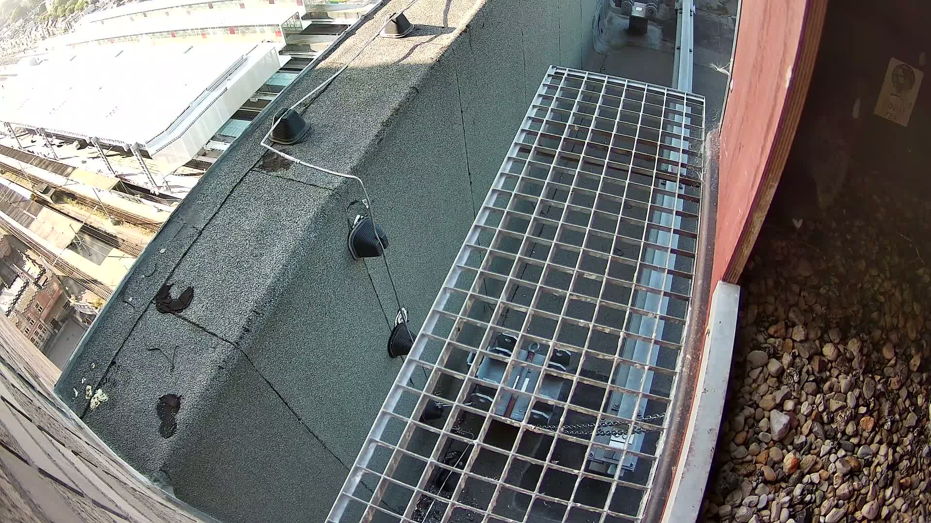 A high-angle view shows a metal grate walkway on a rooftop overlooking a train yard on a sunny day.