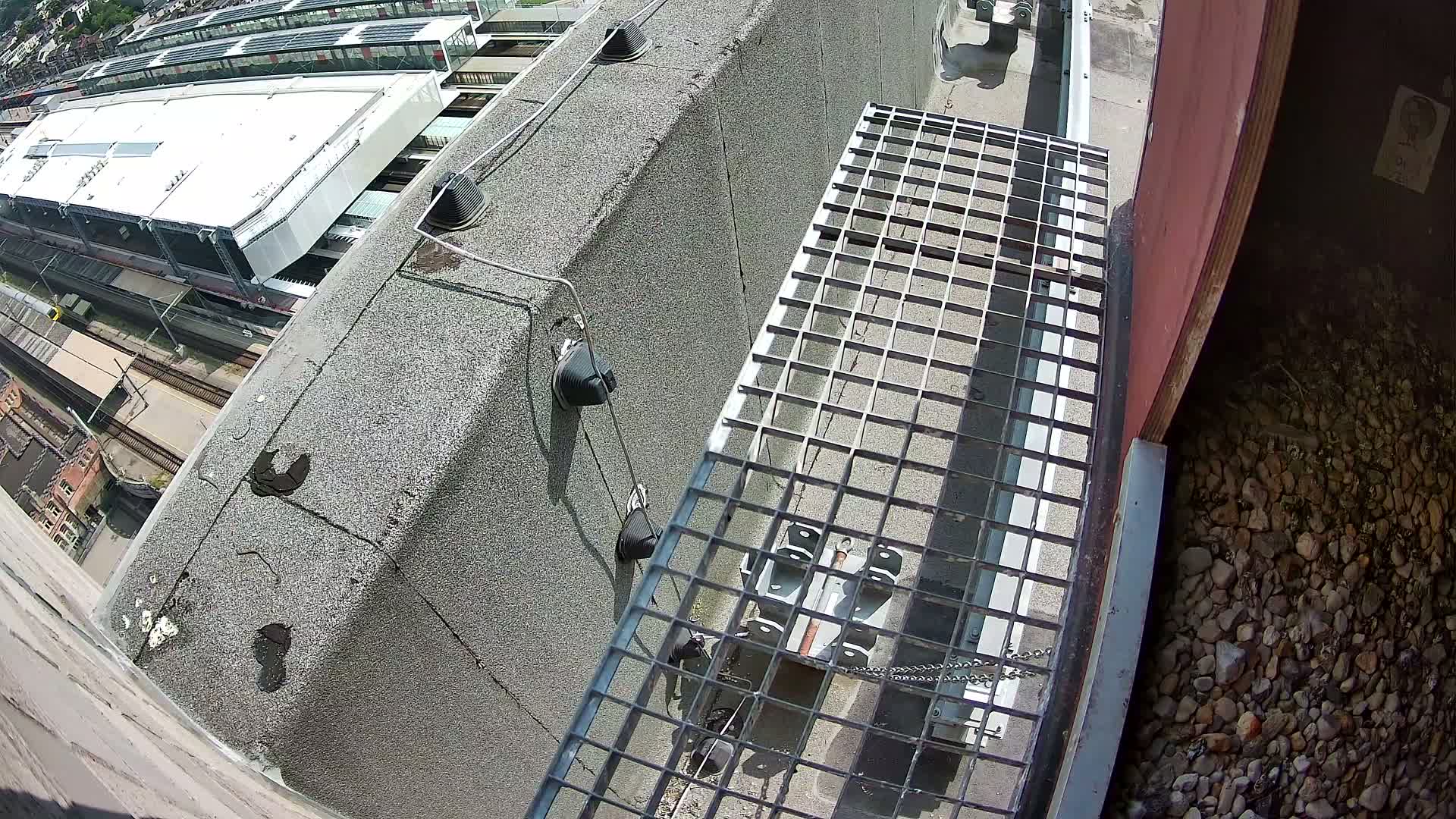 Gent, Sint Pieters Railway Station & Virginie Lovelingge bouw (Virginie Loveling building) Outside Bird Nest Live Cam - Gent (Ghend-Gand), East Flanders (Flandre-Orientale), Flemish (Flamande), Belgium