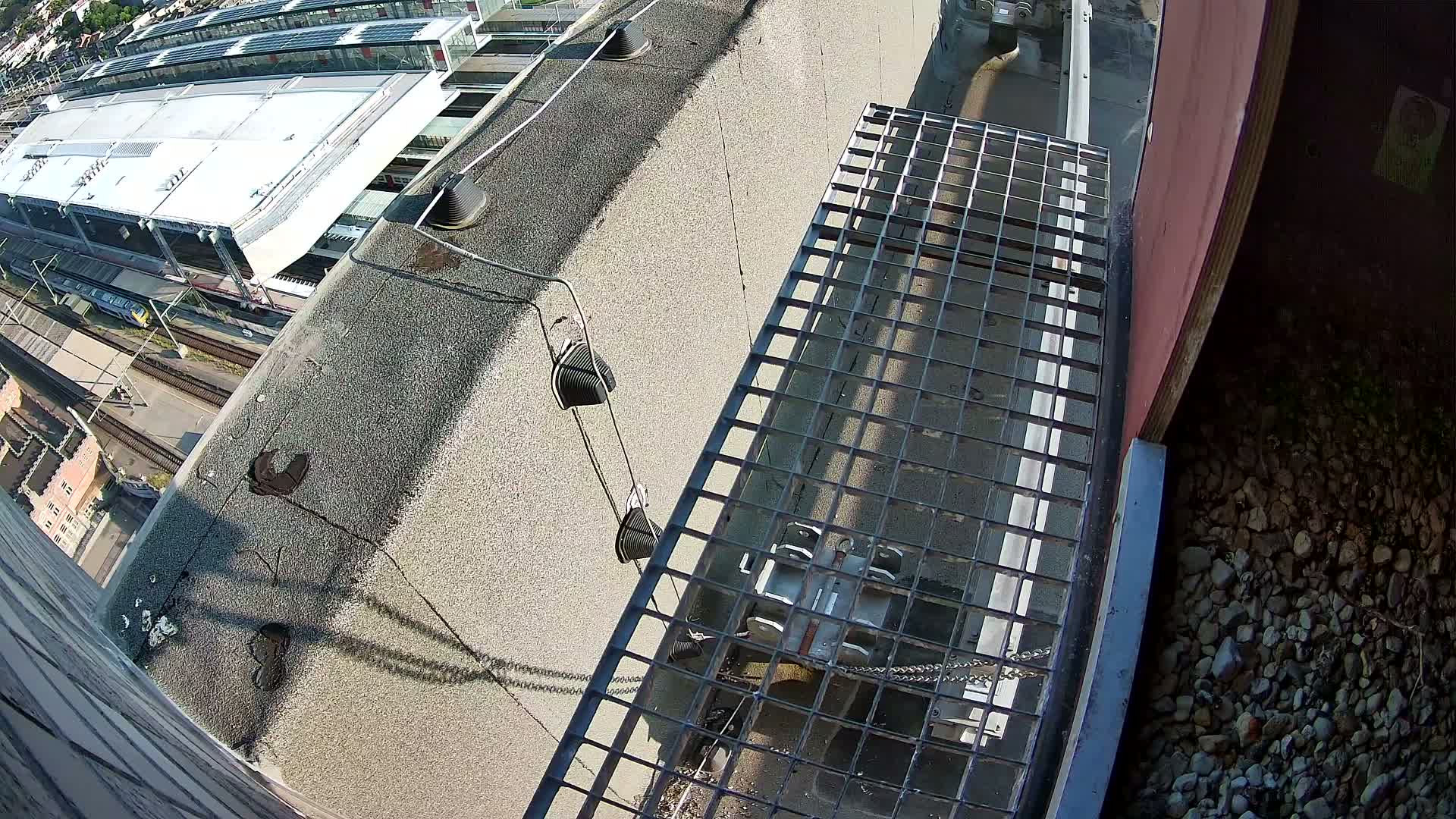 Gent, Sint Pieters Railway Station & Virginie Lovelingge bouw (Virginie Loveling building) Outside Bird Nest Live Cam - Gent (Ghend-Gand), East Flanders (Flandre-Orientale), Flemish (Flamande), Belgium