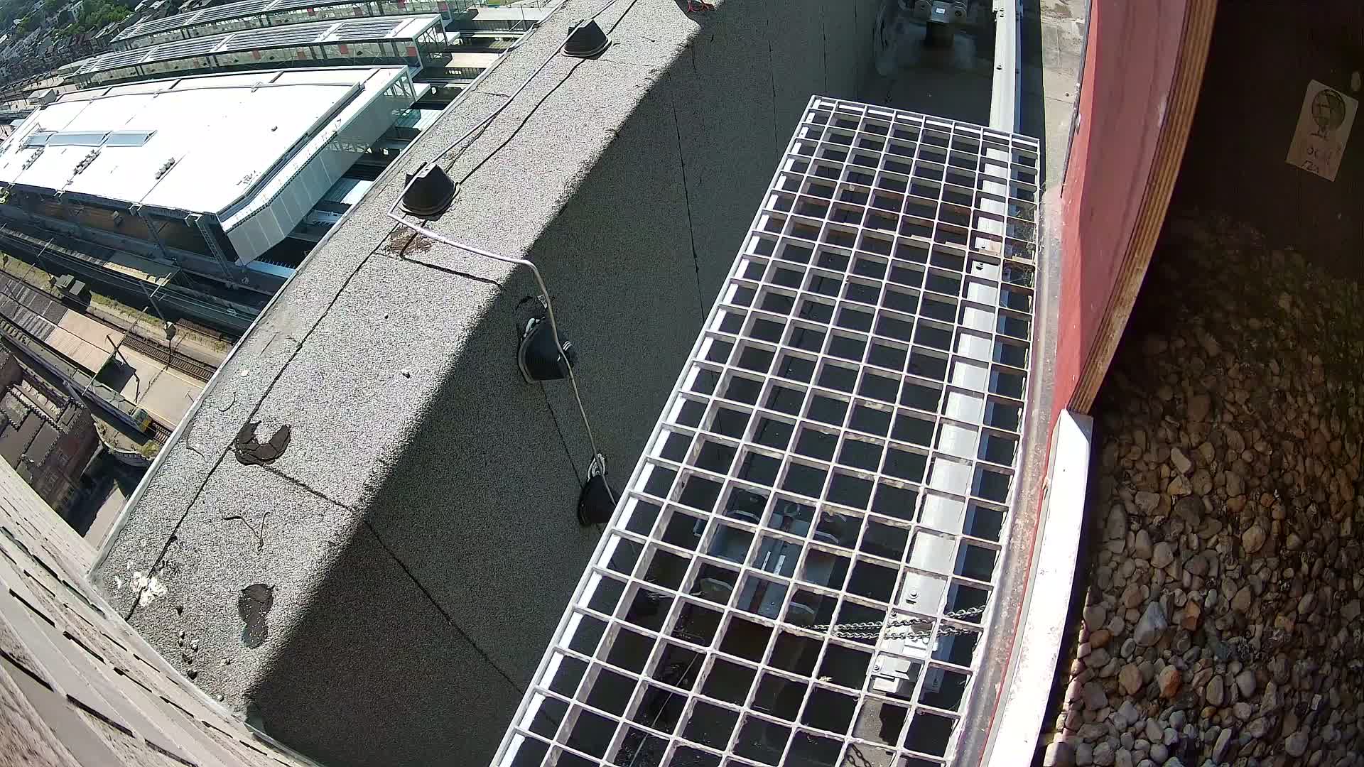 Gent, Sint Pieters Railway Station & Virginie Lovelingge bouw (Virginie Loveling building) Outside Bird Nest Live Cam - Gent (Ghend-Gand), East Flanders (Flandre-Orientale), Flemish (Flamande), Belgium