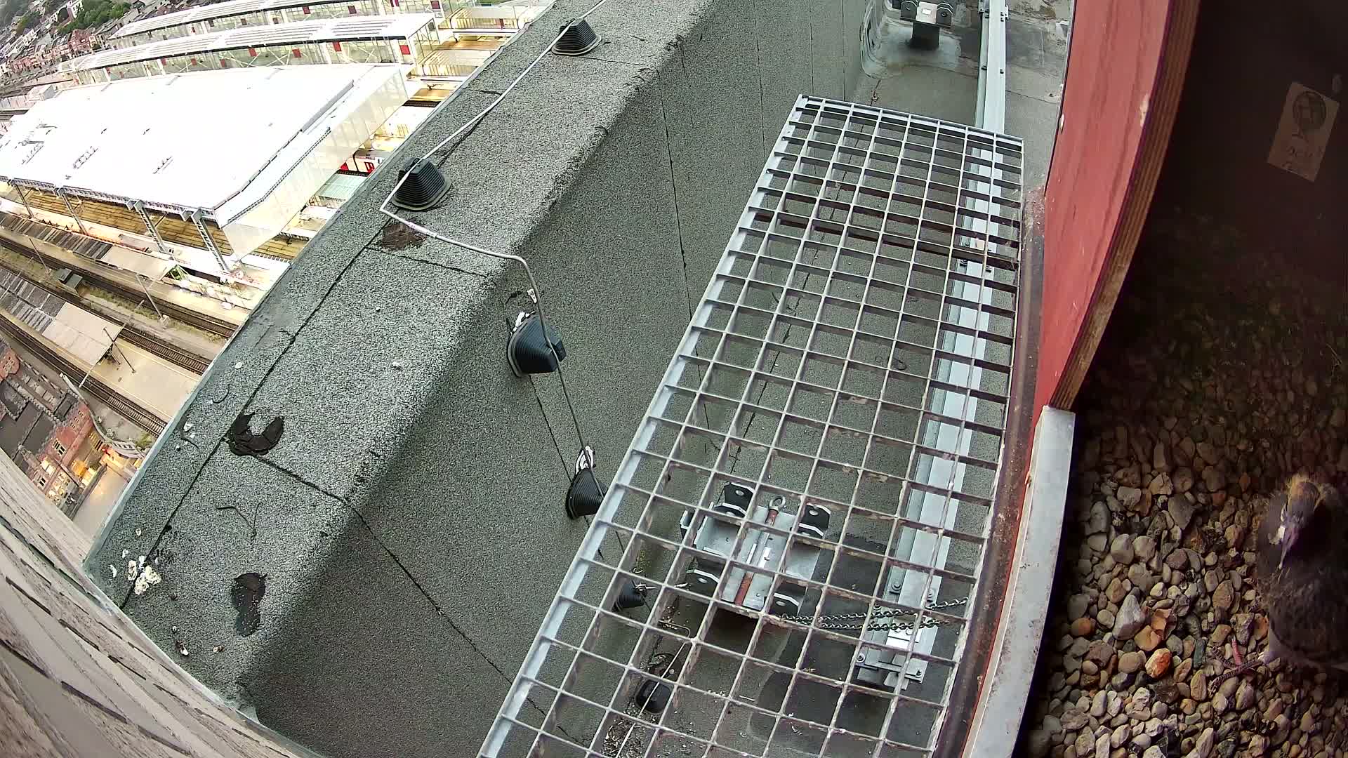 A high-angle view shows a metal grate walkway next to a building's edge overlooking a train station at night.