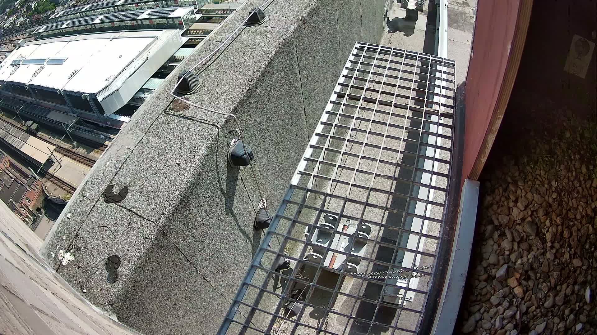 Gent, Sint Pieters Railway Station & Virginie Lovelingge bouw (Virginie Loveling building) Outside Bird Nest Live Cam - Gent (Ghend-Gand), East Flanders (Flandre-Orientale), Flemish (Flamande), Belgium