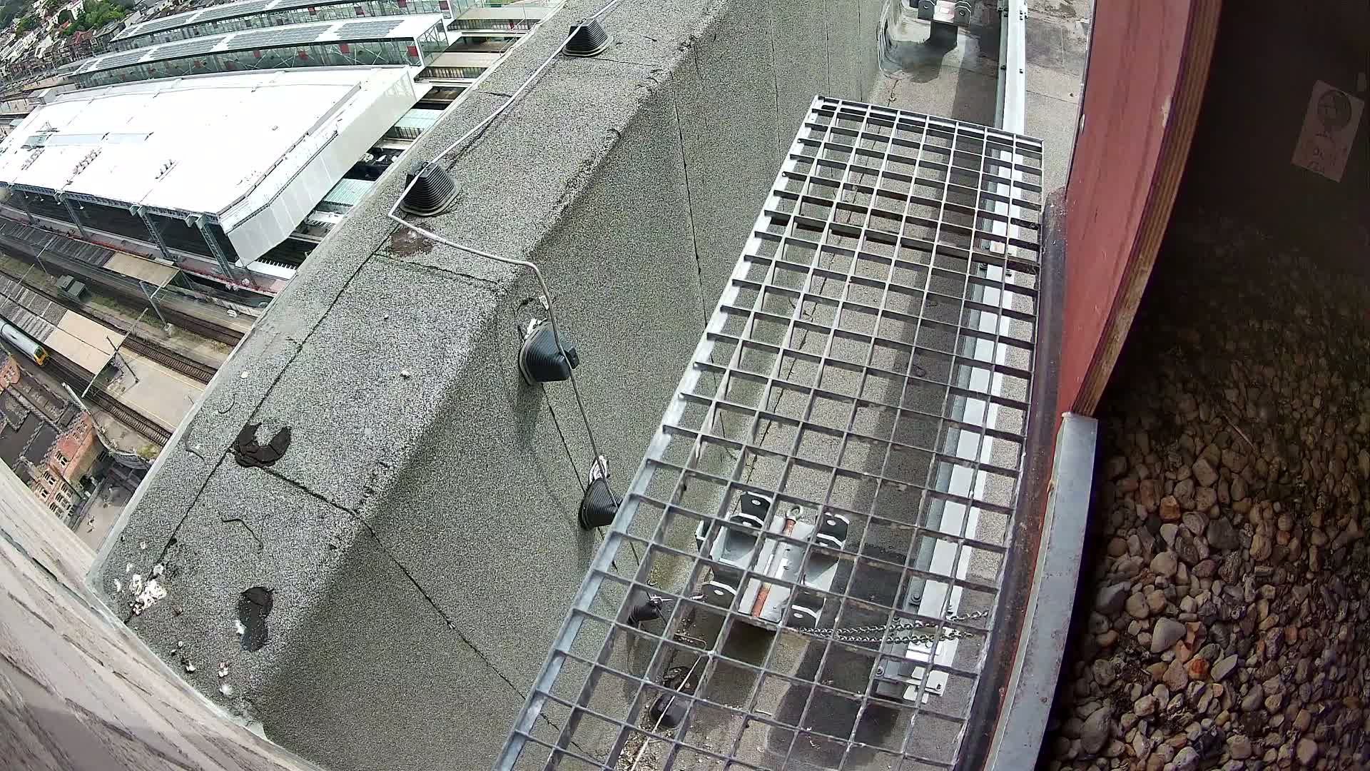 Gent, Sint Pieters Railway Station & Virginie Lovelingge bouw (Virginie Loveling building) Outside Bird Nest Live Cam - Gent (Ghend-Gand), East Flanders (Flandre-Orientale), Flemish (Flamande), Belgium