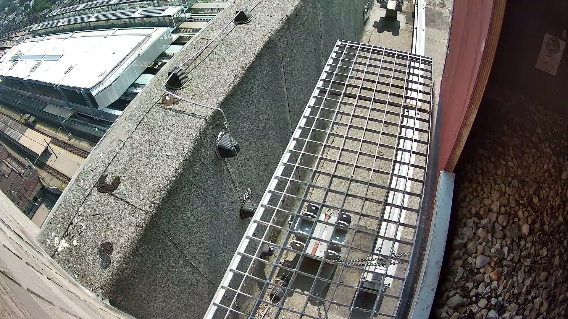 Gent, Sint Pieters Railway Station & Virginie Lovelingge bouw (Virginie Loveling building) Outside Bird Nest Live Cam - Gent (Ghend-Gand), East Flanders (Flandre-Orientale), Flemish (Flamande), Belgium