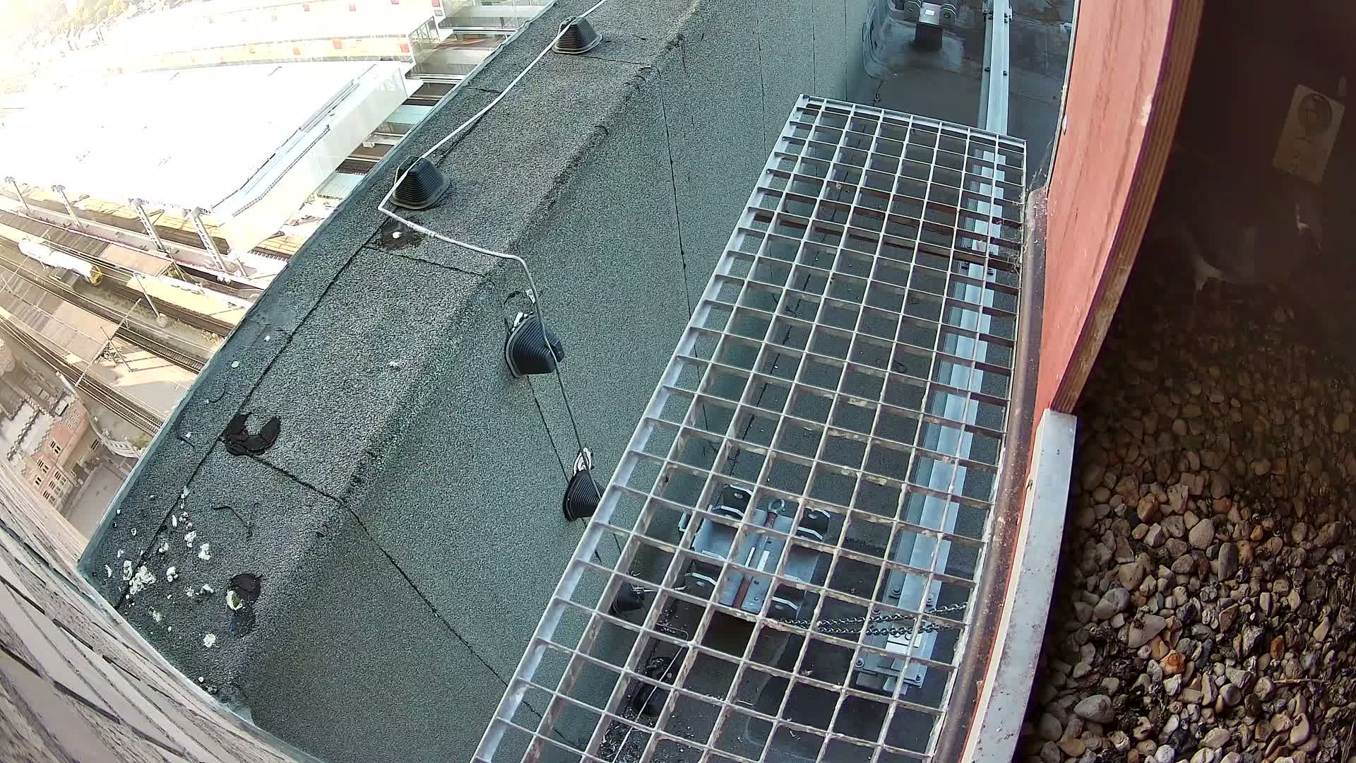 Gent, Sint Pieters Railway Station & Virginie Lovelingge bouw (Virginie Loveling building) Outside Bird Nest Live Cam - Gent (Ghend-Gand), East Flanders (Flandre-Orientale), Flemish (Flamande), Belgium