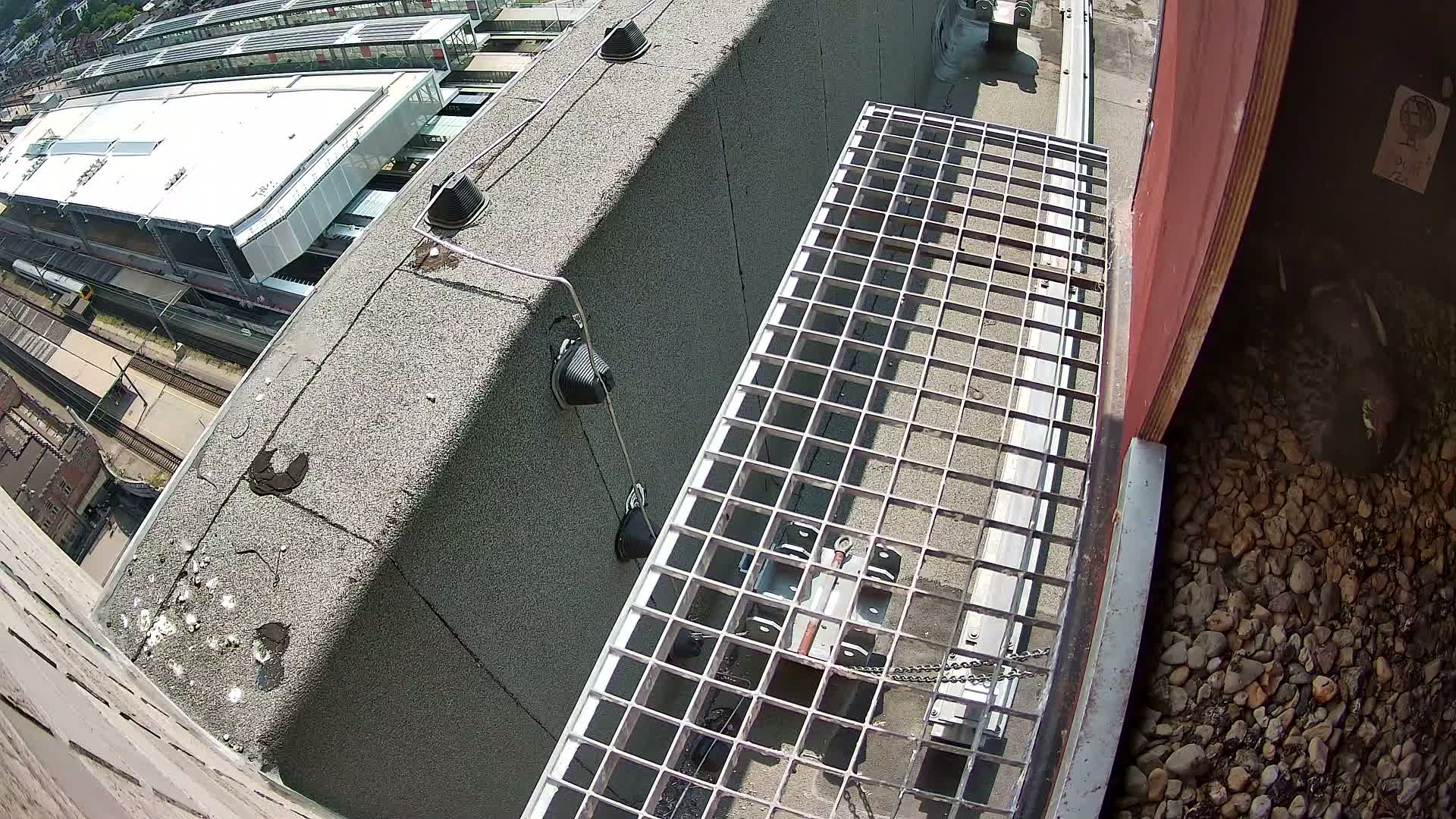Gent, Sint Pieters Railway Station & Virginie Lovelingge bouw (Virginie Loveling building) Outside Bird Nest Live Cam - Gent (Ghend-Gand), East Flanders (Flandre-Orientale), Flemish (Flamande), Belgium