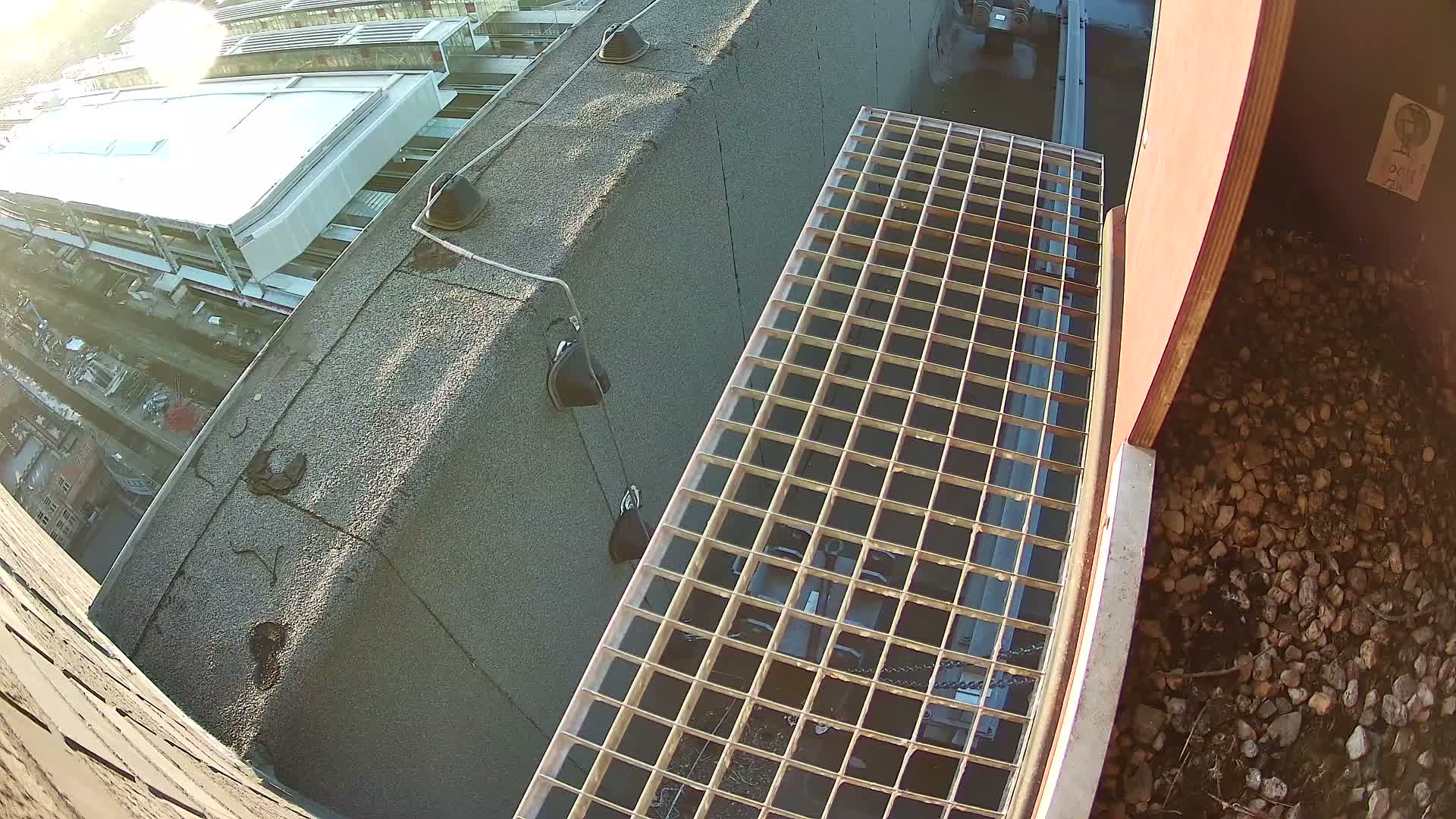 Gent, Sint Pieters Railway Station & Virginie Lovelingge bouw (Virginie Loveling building) Outside Bird Nest Live Cam - Gent (Ghend-Gand), East Flanders (Flandre-Orientale), Flemish (Flamande), Belgium