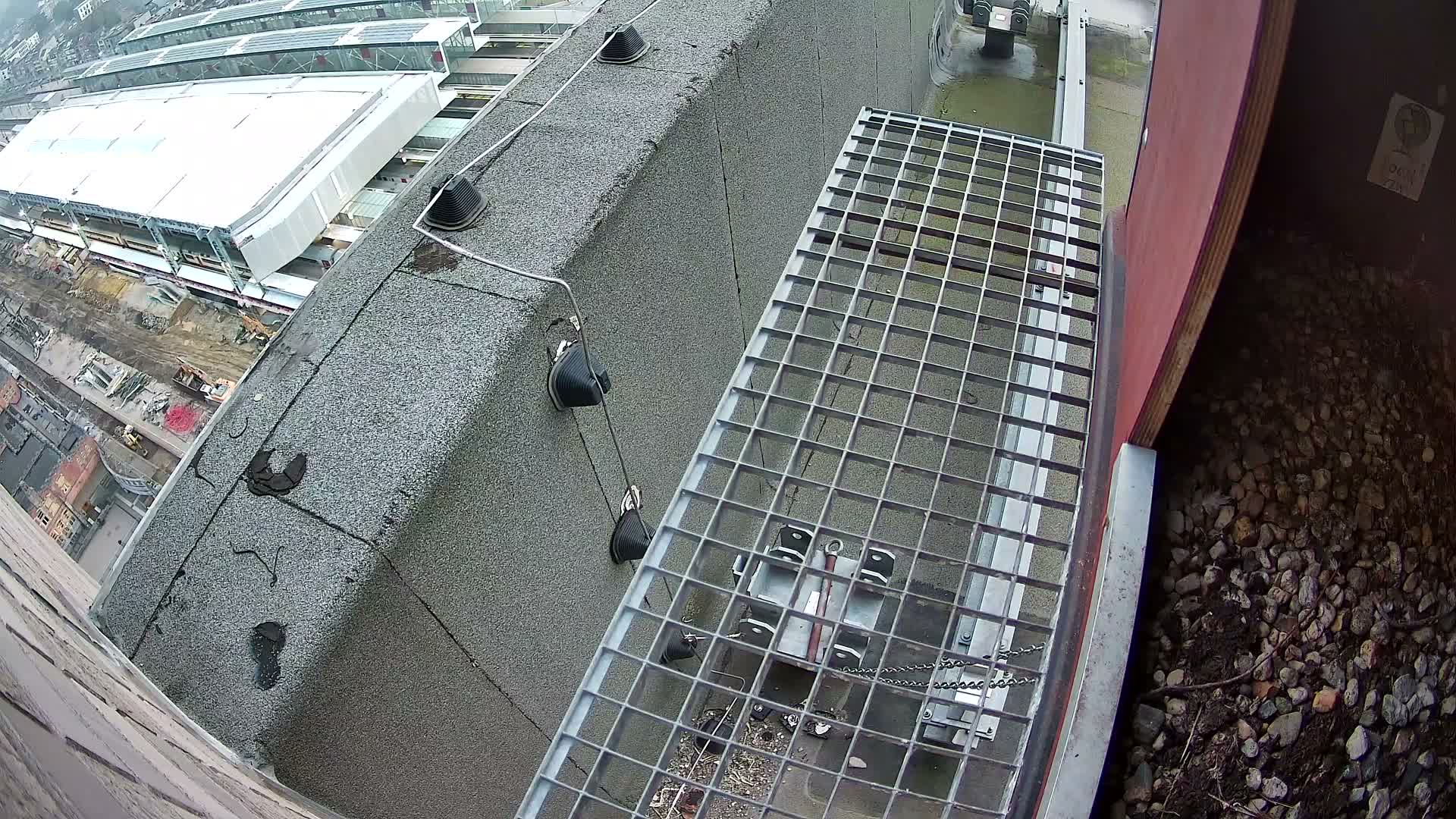 Gent, Sint Pieters Railway Station & Virginie Lovelingge bouw (Virginie Loveling building) Outside Bird Nest Live Cam - Gent (Ghend-Gand), East Flanders (Flandre-Orientale), Flemish (Flamande), Belgium
