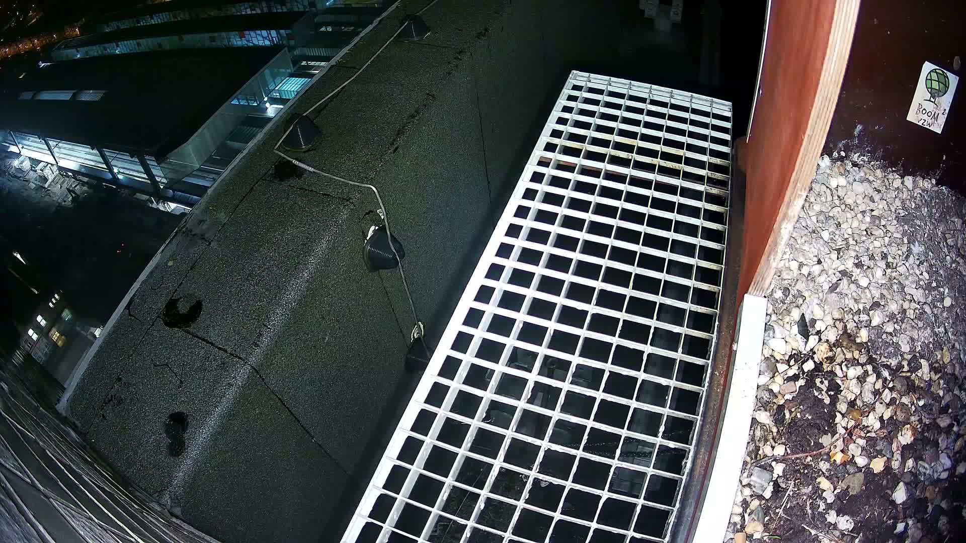 Gent, Sint Pieters Railway Station & Virginie Lovelingge bouw (Virginie Loveling building) Outside Bird Nest Live Cam - Gent (Ghend-Gand), East Flanders (Flandre-Orientale), Flemish (Flamande), Belgium