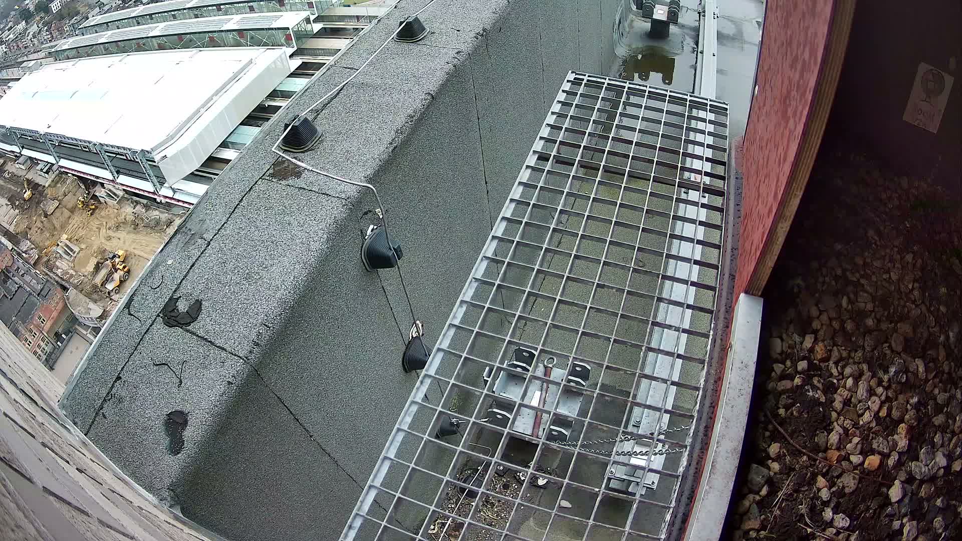 Gent, Sint Pieters Railway Station & Virginie Lovelingge bouw (Virginie Loveling building) Outside Bird Nest Live Cam - Gent (Ghend-Gand), East Flanders (Flandre-Orientale), Flemish (Flamande), Belgium