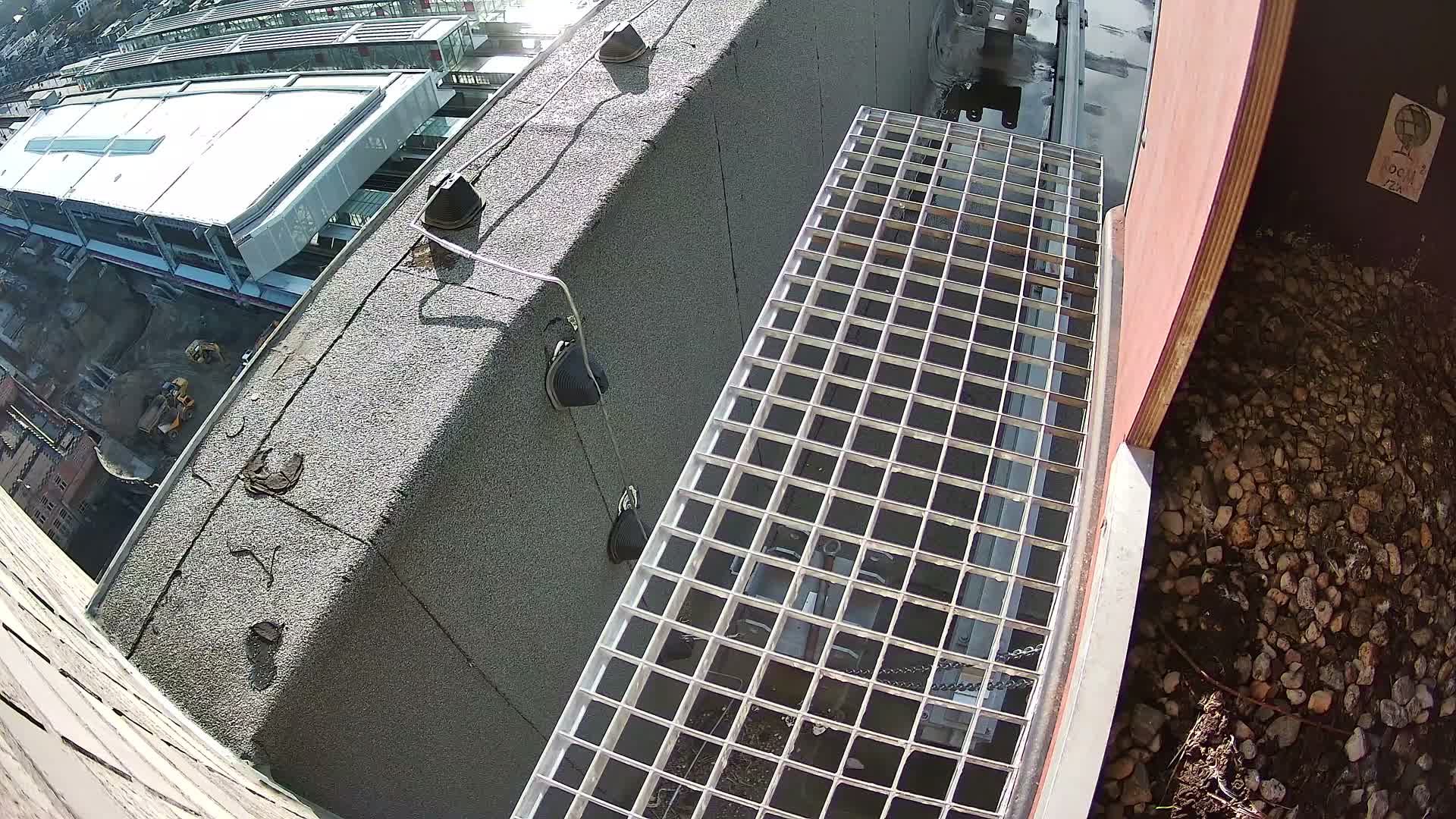 Gent, Sint Pieters Railway Station & Virginie Lovelingge bouw (Virginie Loveling building) Outside Bird Nest Live Cam - Gent (Ghend-Gand), East Flanders (Flandre-Orientale), Flemish (Flamande), Belgium