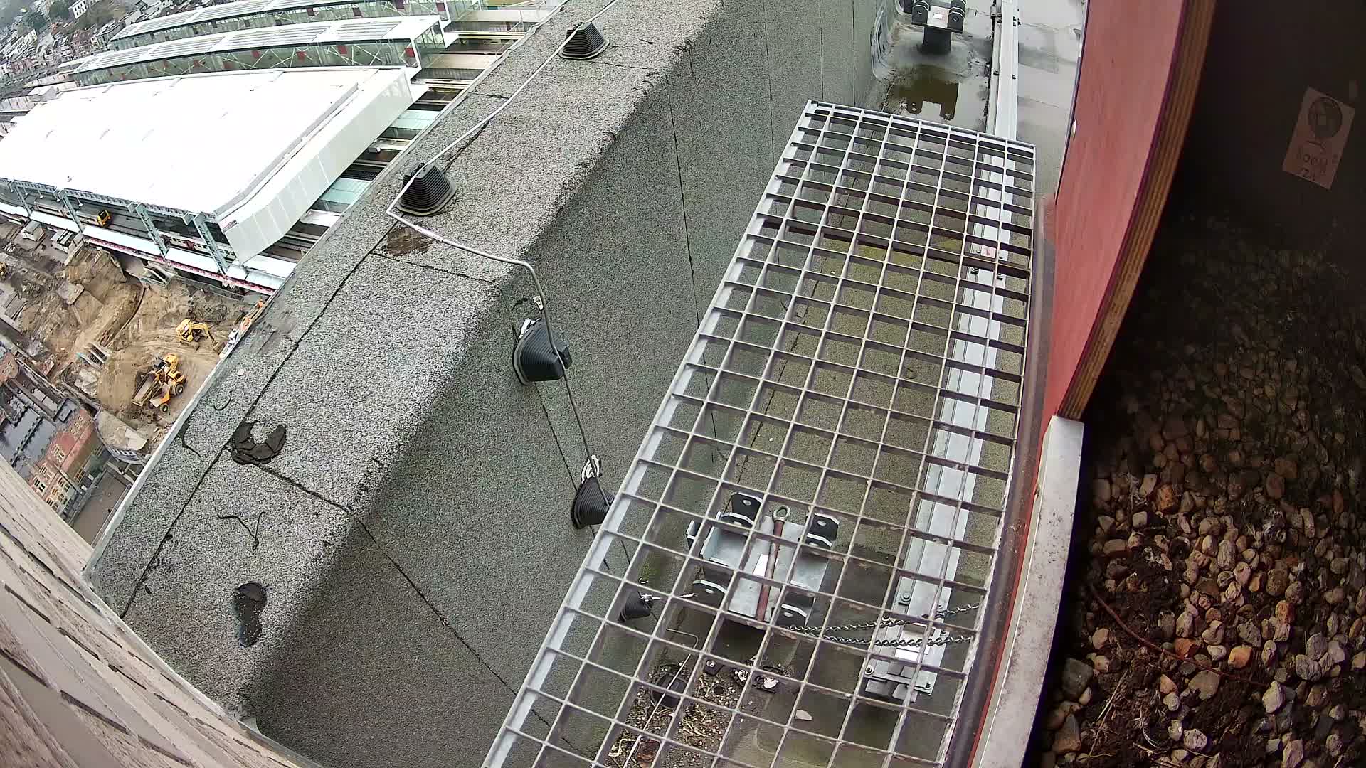 Gent, Sint Pieters Railway Station & Virginie Lovelingge bouw (Virginie Loveling building) Outside Bird Nest Live Cam - Gent (Ghend-Gand), East Flanders (Flandre-Orientale), Flemish (Flamande), Belgium