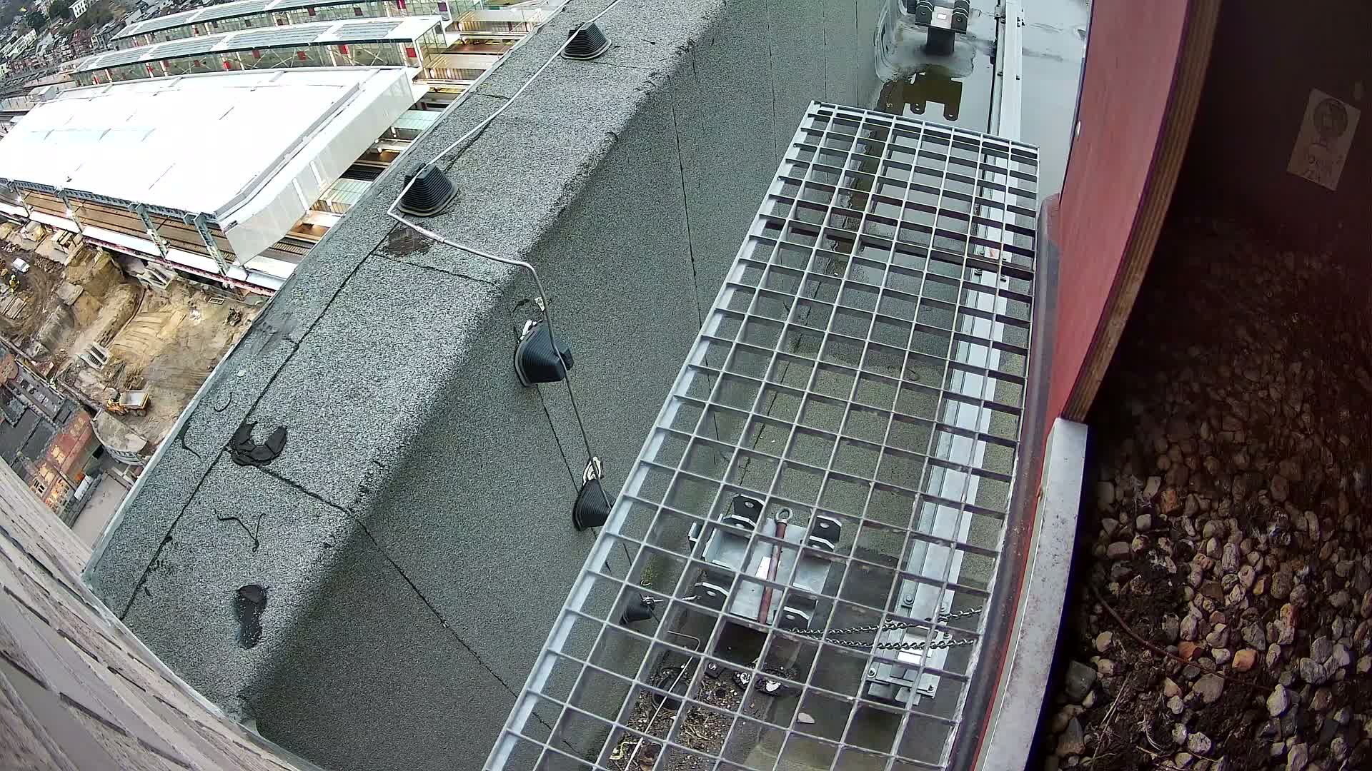 Gent, Sint Pieters Railway Station & Virginie Lovelingge bouw (Virginie Loveling building) Outside Bird Nest Live Cam - Gent (Ghend-Gand), East Flanders (Flandre-Orientale), Flemish (Flamande), Belgium