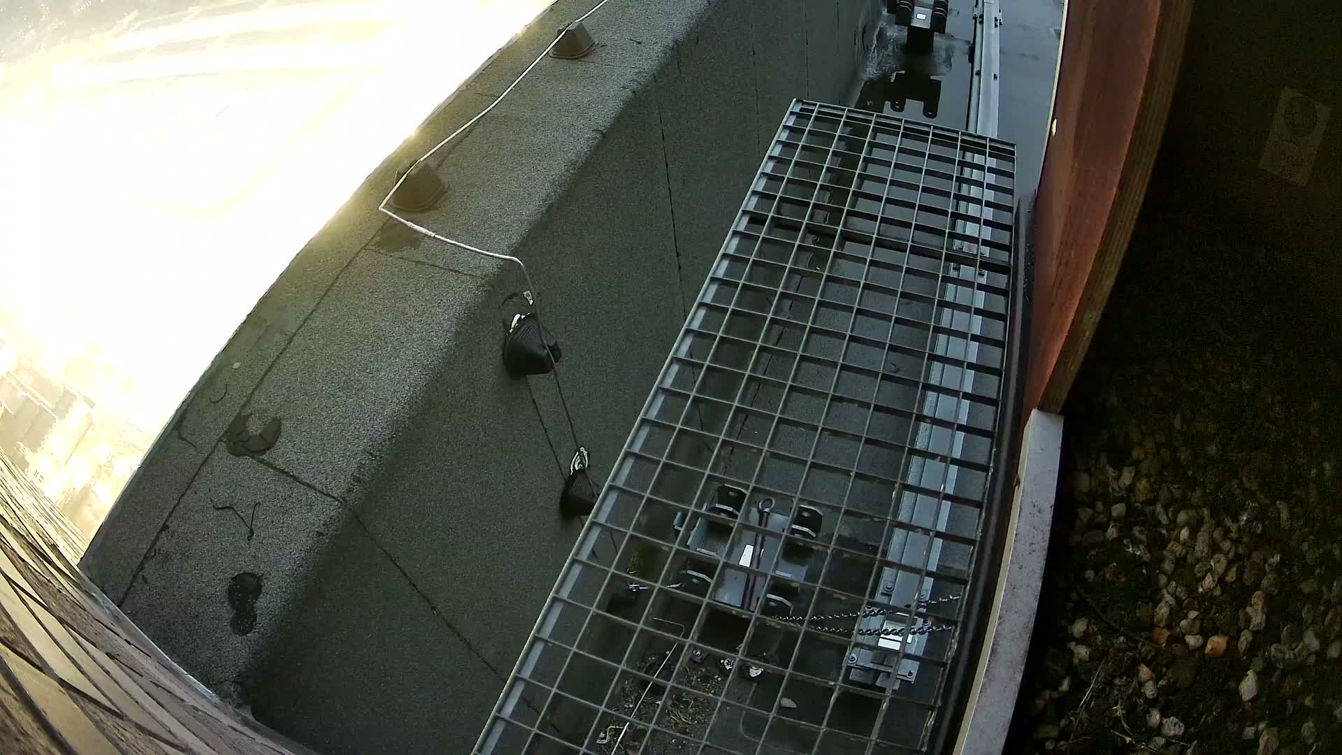 Gent, Sint Pieters Railway Station & Virginie Lovelingge bouw (Virginie Loveling building) Outside Bird Nest Live Cam - Gent (Ghend-Gand), East Flanders (Flandre-Orientale), Flemish (Flamande), Belgium