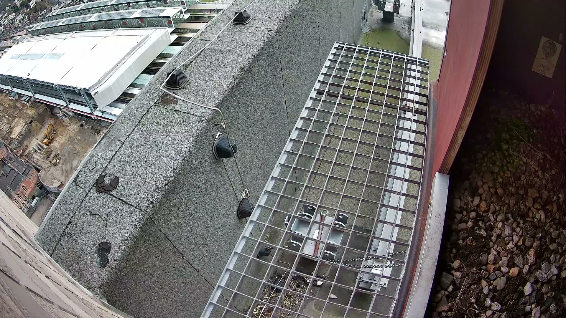 Gent, Sint Pieters Railway Station & Virginie Lovelingge bouw (Virginie Loveling building) Outside Bird Nest Live Cam - Gent (Ghend-Gand), East Flanders (Flandre-Orientale), Flemish (Flamande), Belgium