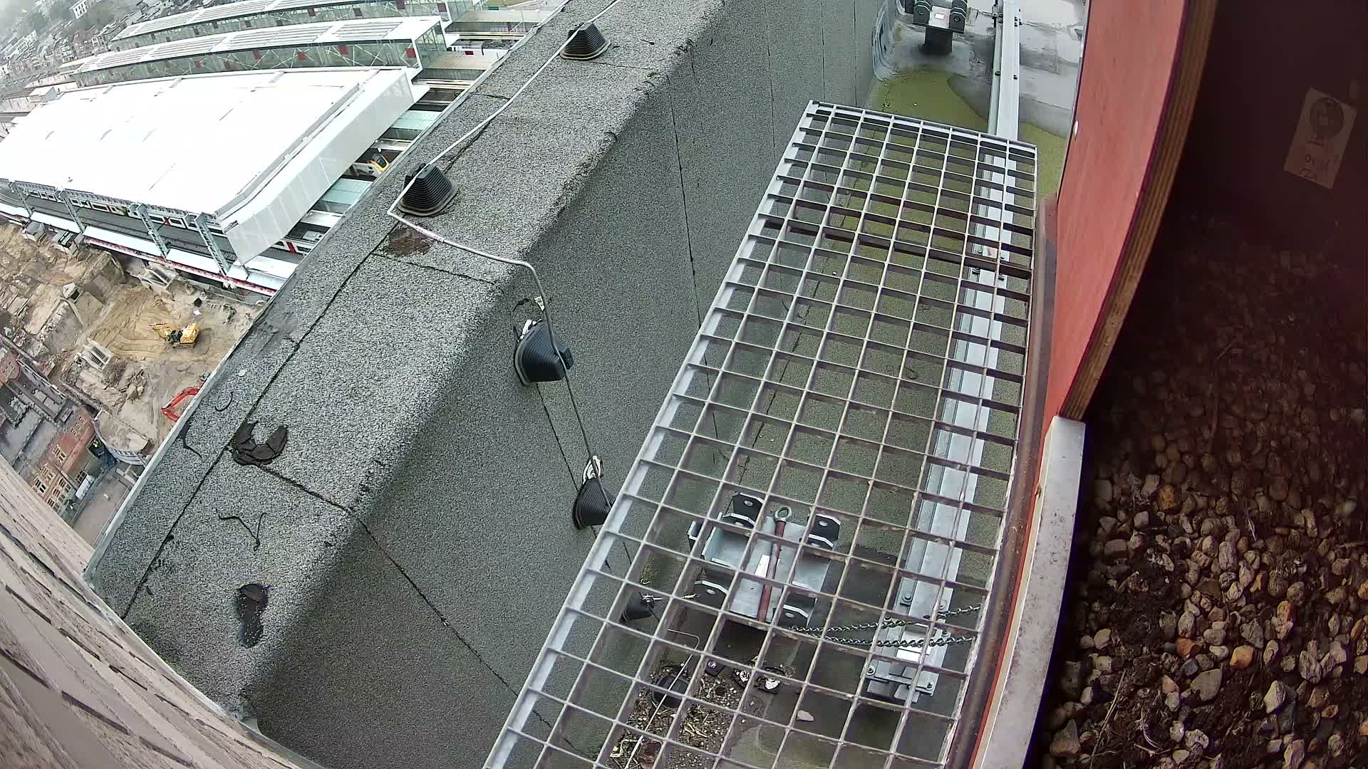 Gent, Sint Pieters Railway Station & Virginie Lovelingge bouw (Virginie Loveling building) Outside Bird Nest Live Cam - Gent (Ghend-Gand), East Flanders (Flandre-Orientale), Flemish (Flamande), Belgium