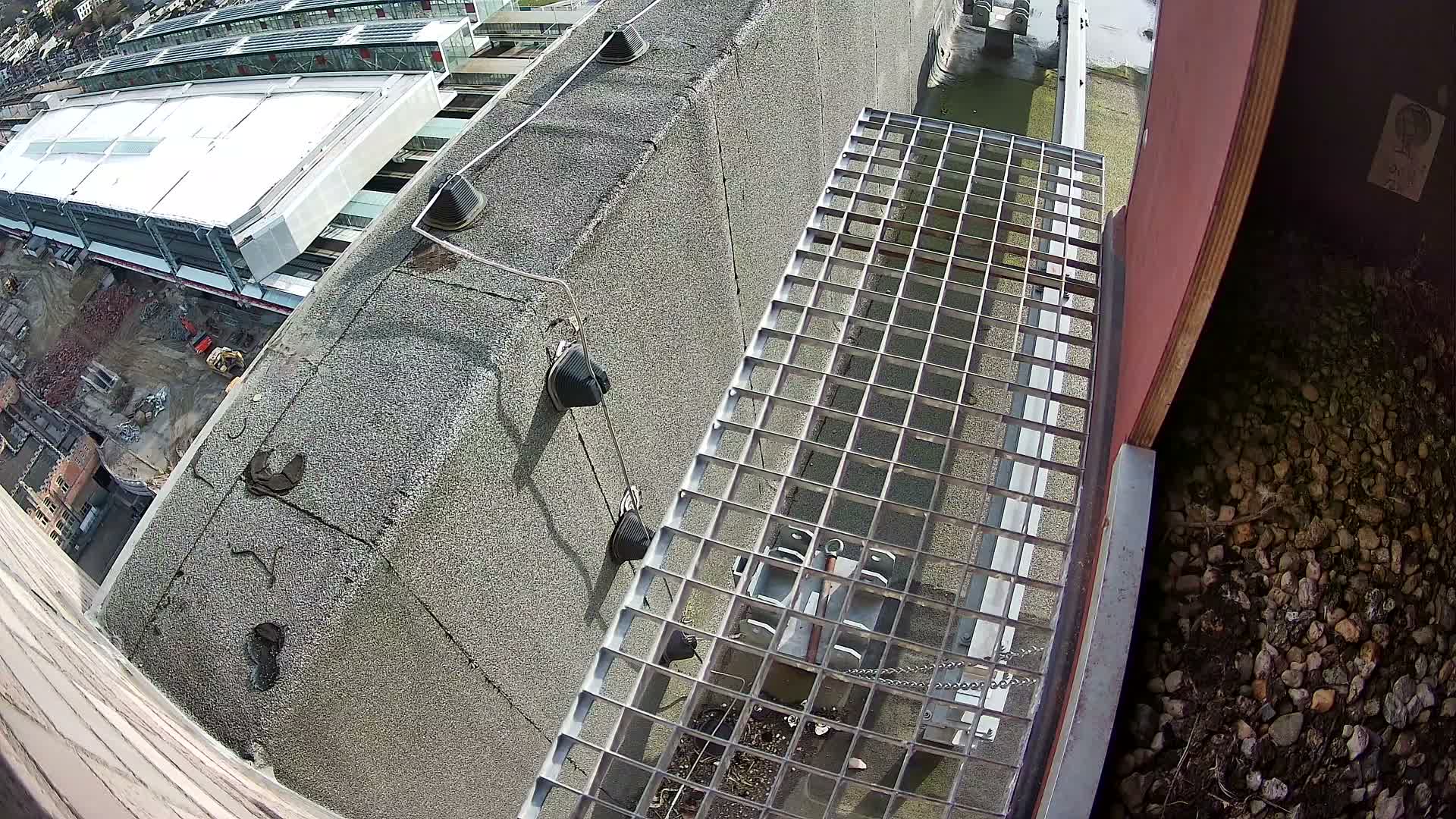 Gent, Sint Pieters Railway Station & Virginie Lovelingge bouw (Virginie Loveling building) Outside Bird Nest Live Cam - Gent (Ghend-Gand), East Flanders (Flandre-Orientale), Flemish (Flamande), Belgium