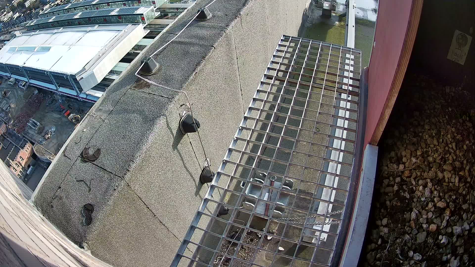 Gent, Sint Pieters Railway Station & Virginie Lovelingge bouw (Virginie Loveling building) Outside Bird Nest Live Cam - Gent (Ghend-Gand), East Flanders (Flandre-Orientale), Flemish (Flamande), Belgium