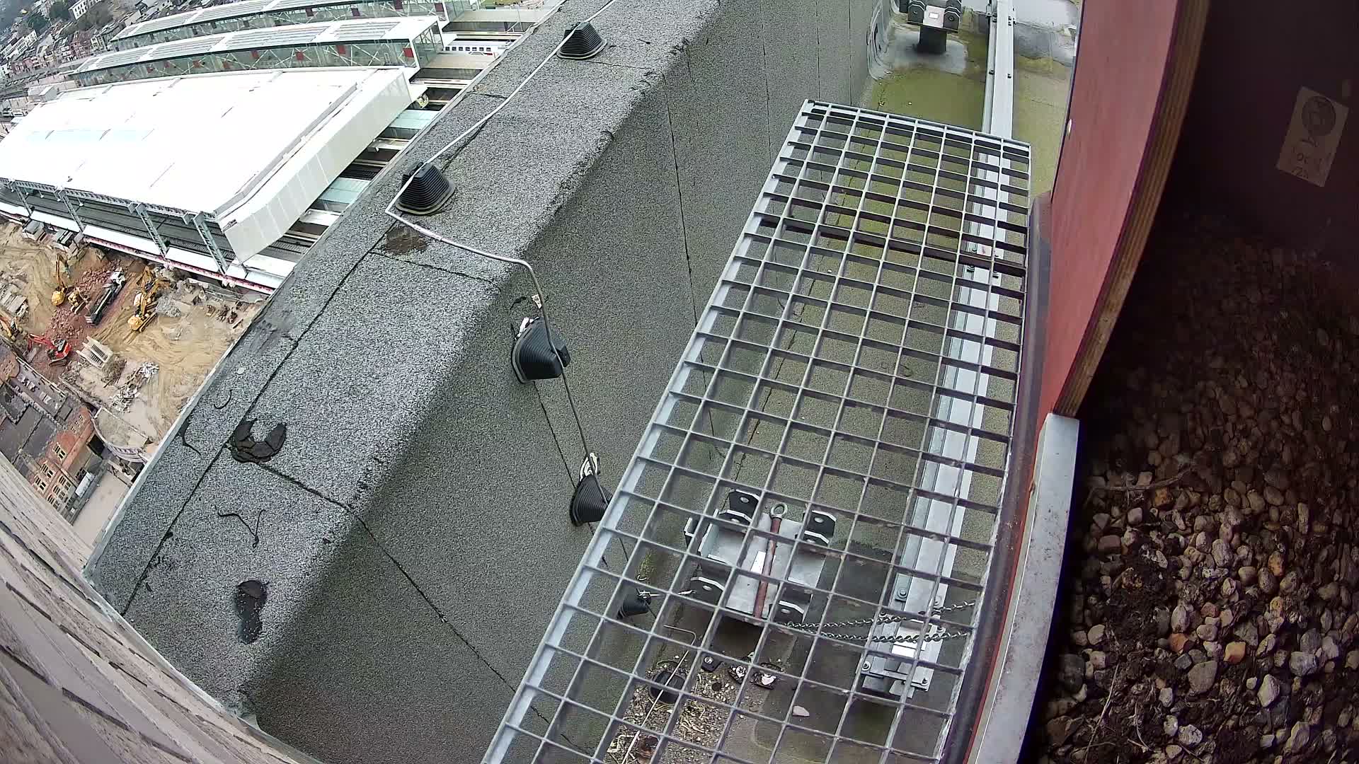 Gent, Sint Pieters Railway Station & Virginie Lovelingge bouw (Virginie Loveling building) Outside Bird Nest Live Cam - Gent (Ghend-Gand), East Flanders (Flandre-Orientale), Flemish (Flamande), Belgium