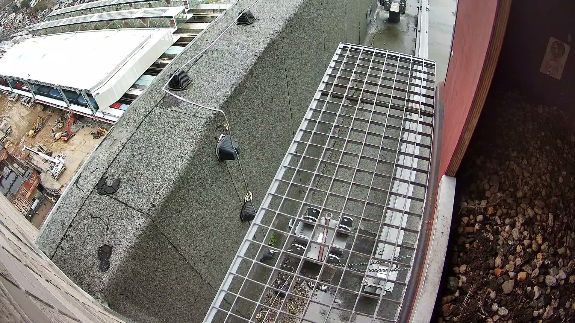 Gent, Sint Pieters Railway Station & Virginie Lovelingge bouw (Virginie Loveling building) Outside Bird Nest Live Cam - Gent (Ghend-Gand), East Flanders (Flandre-Orientale), Flemish (Flamande), Belgium