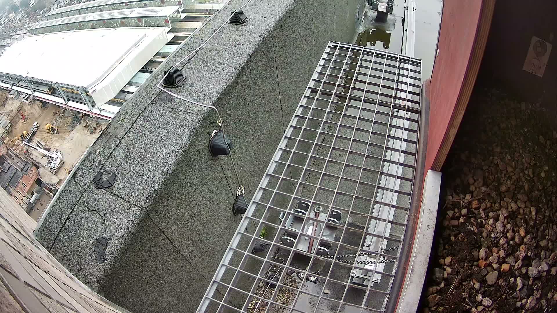 Gent, Sint Pieters Railway Station & Virginie Lovelingge bouw (Virginie Loveling building) Outside Bird Nest Live Cam - Gent (Ghend-Gand), East Flanders (Flandre-Orientale), Flemish (Flamande), Belgium