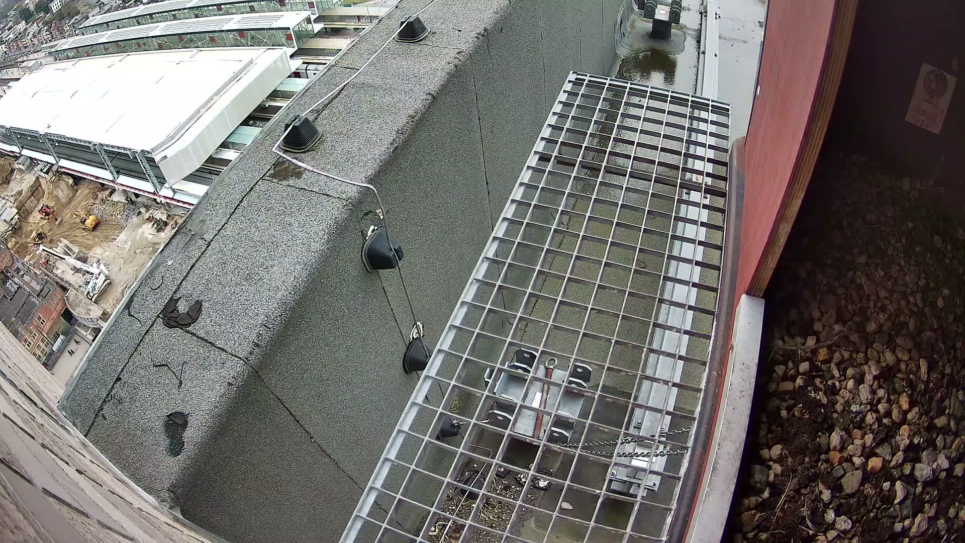 Gent, Sint Pieters Railway Station & Virginie Lovelingge bouw (Virginie Loveling building) Outside Bird Nest Live Cam - Gent (Ghend-Gand), East Flanders (Flandre-Orientale), Flemish (Flamande), Belgium