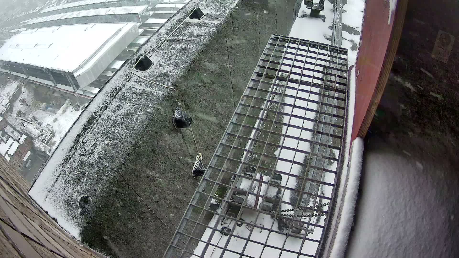 Gent, Sint Pieters Railway Station & Virginie Lovelingge bouw (Virginie Loveling building) Outside Bird Nest Live Cam - Gent (Ghend-Gand), East Flanders (Flandre-Orientale), Flemish (Flamande), Belgium