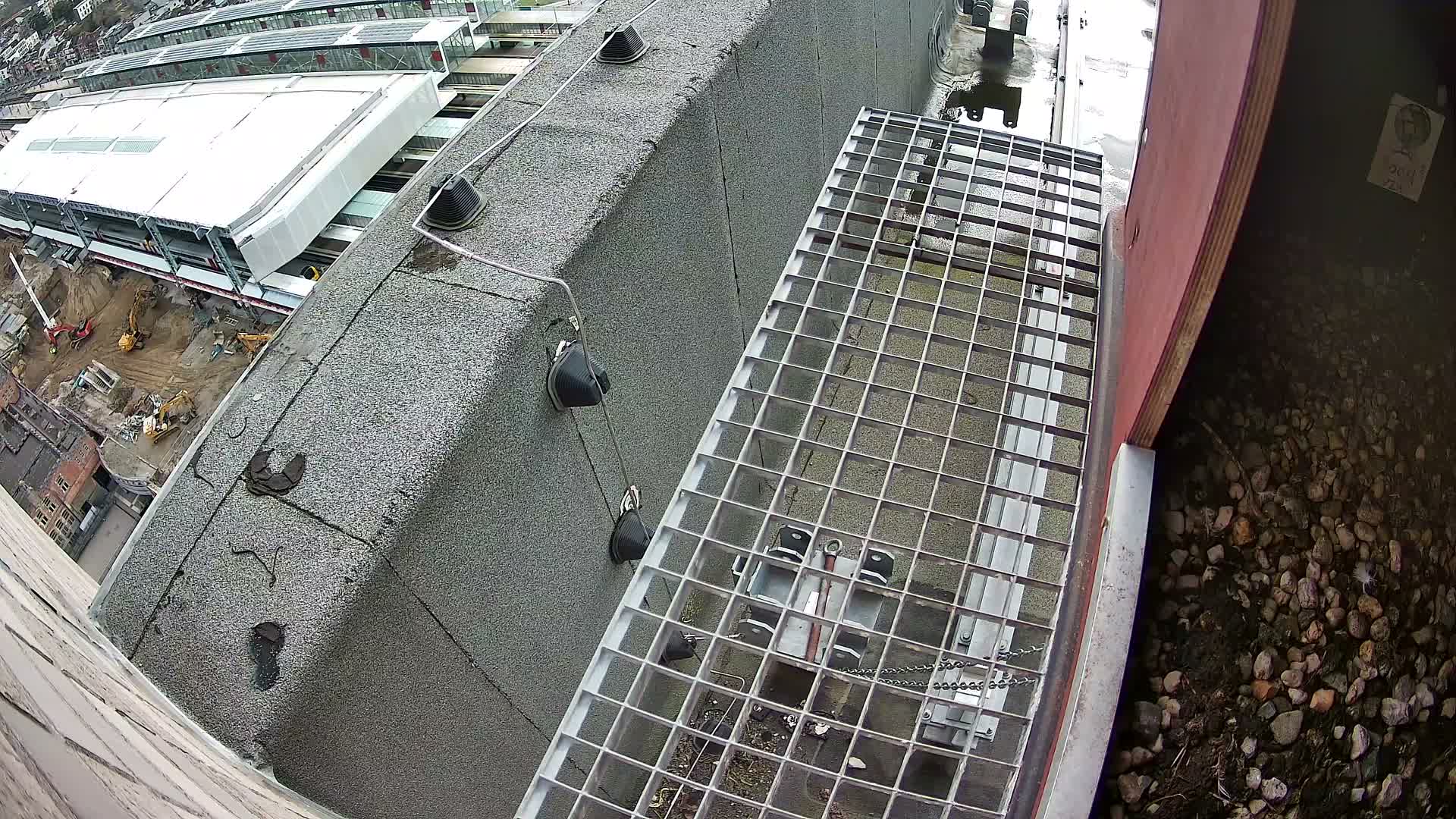 Gent, Sint Pieters Railway Station & Virginie Lovelingge bouw (Virginie Loveling building) Outside Bird Nest Live Cam - Gent (Ghend-Gand), East Flanders (Flandre-Orientale), Flemish (Flamande), Belgium